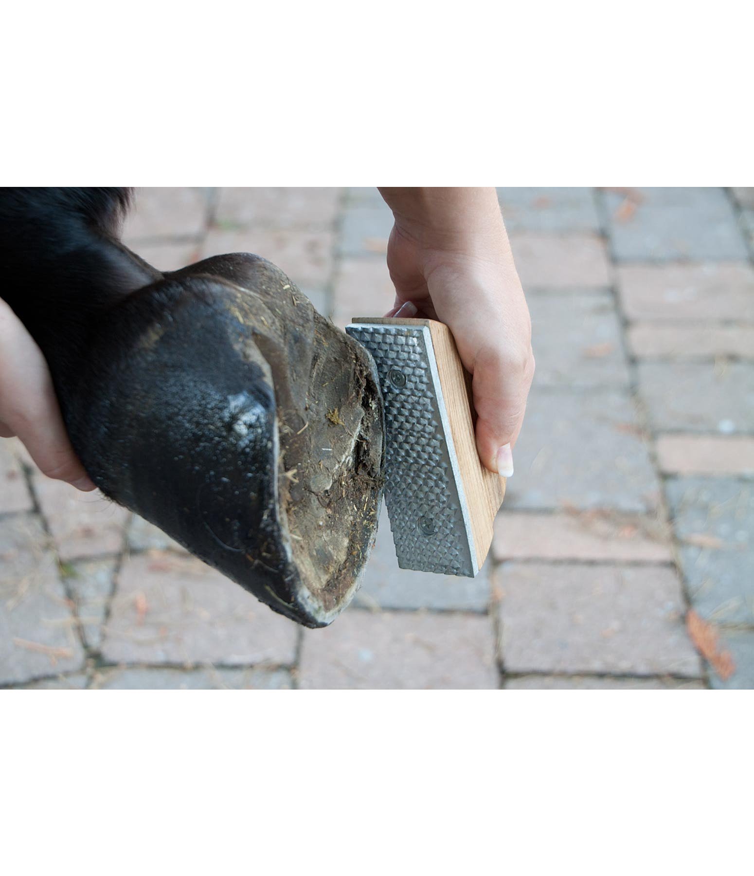 Small Hoof Rasp Hoof Cleaning Kramer Equestrian