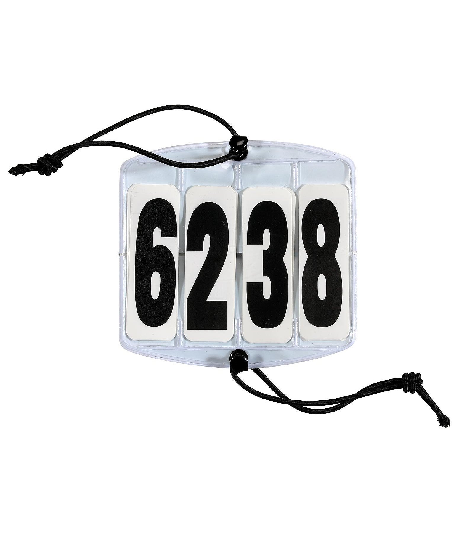 Square 4 Digit Bridle Number