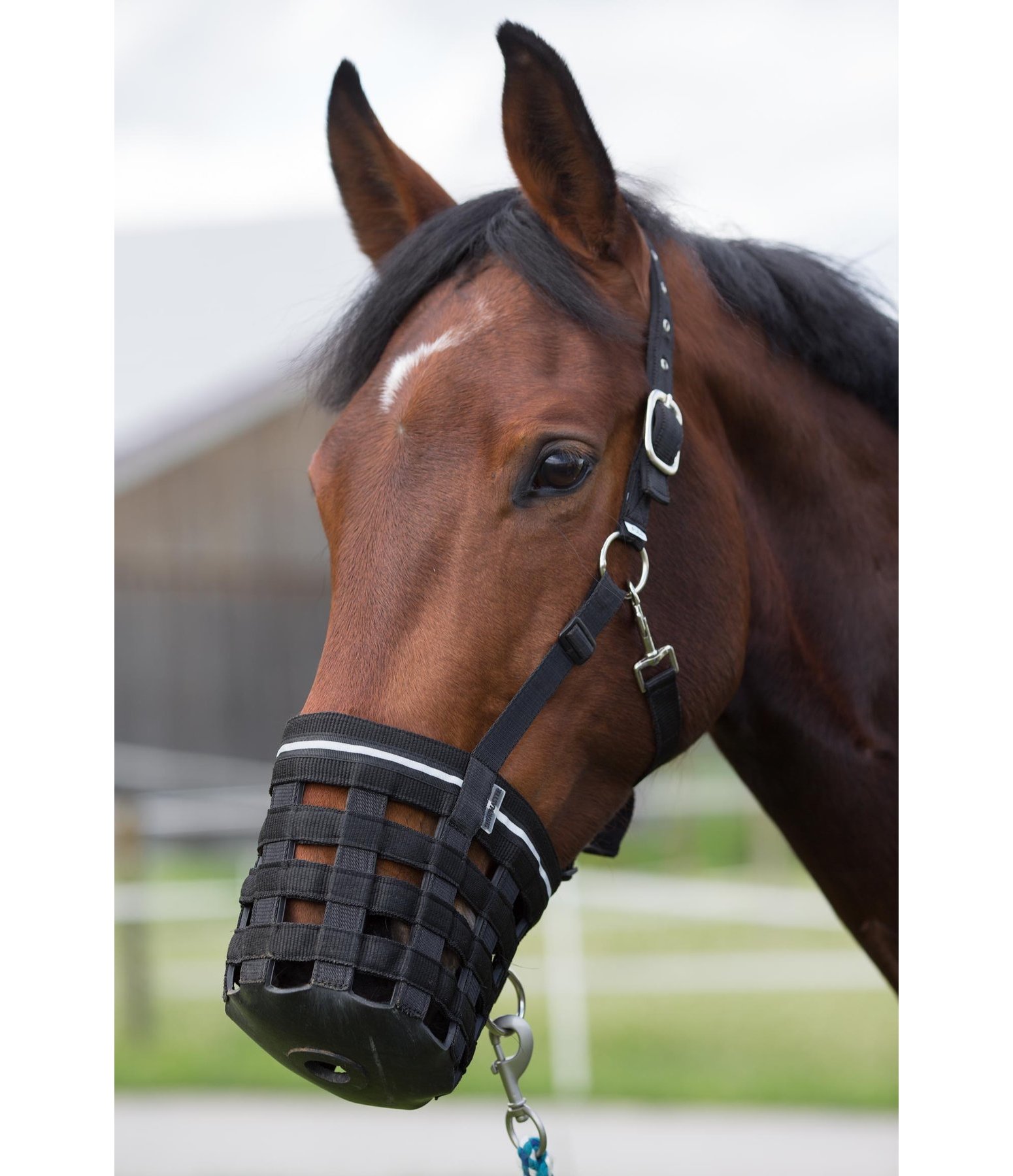 Grazing Muzzle Tack Room Kramer Equestrian