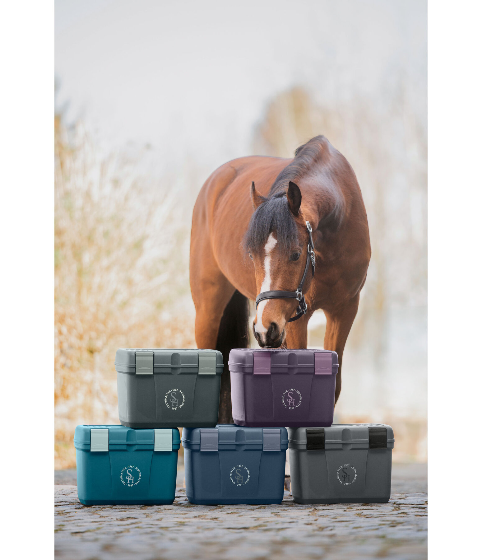 Grooming Box Lissabon