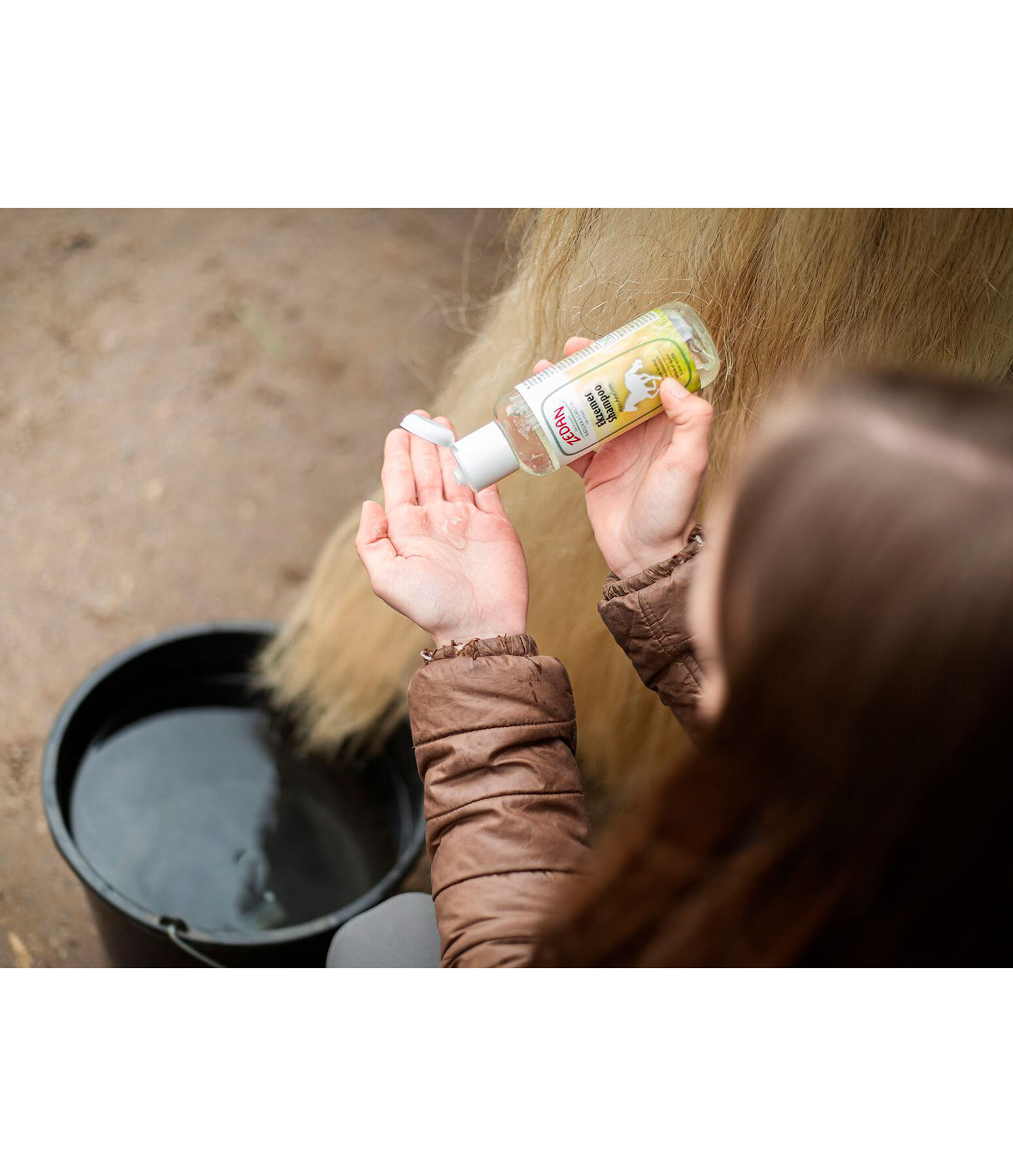 Sweet Itch Cleaning Balm Zedan Horse Care Kramer Equestrian