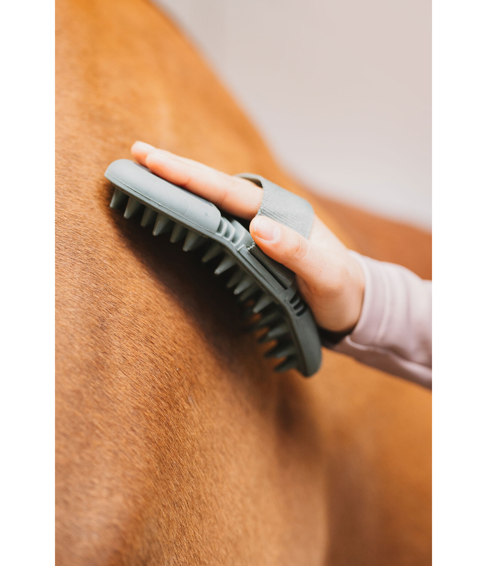 Nub Curry Comb Soft