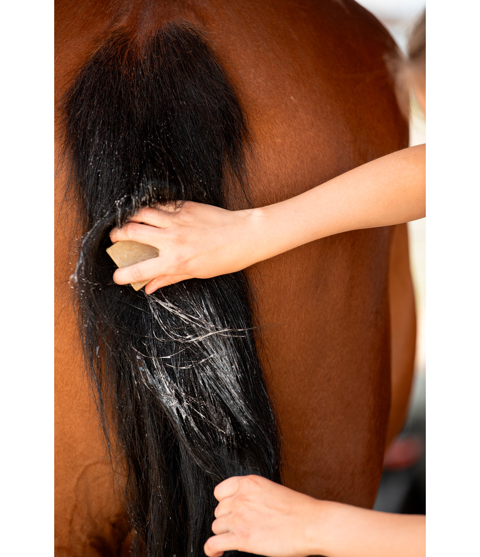 Natural Power Horse Care Soap