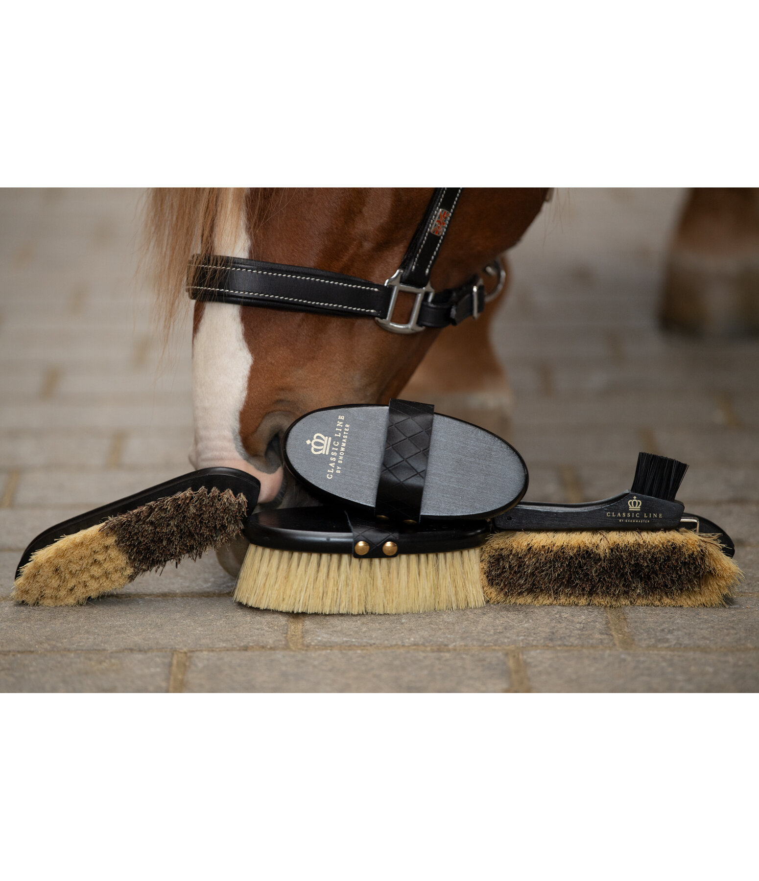 Hoof Pick