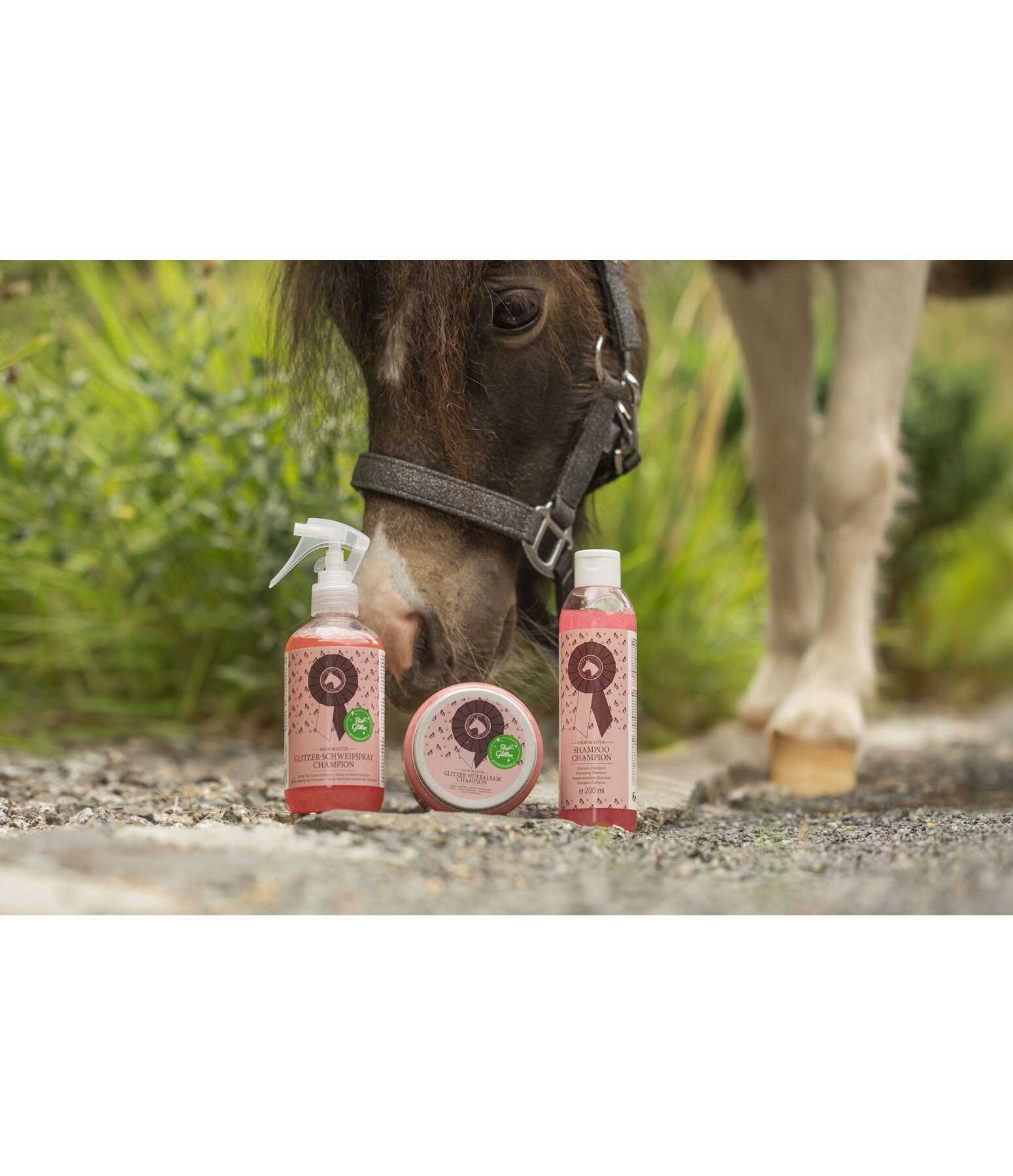 Glitter Tail Spray Champion