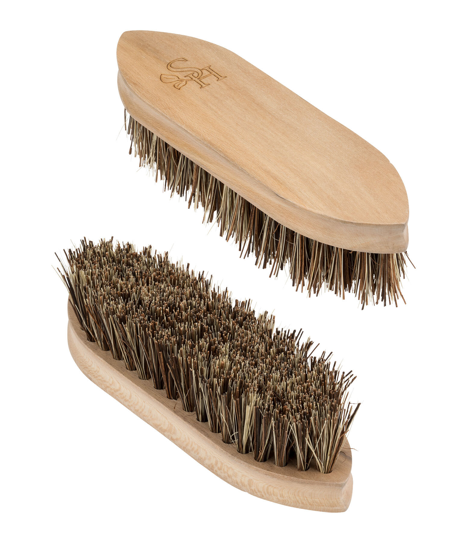 Dandy Brush Flora