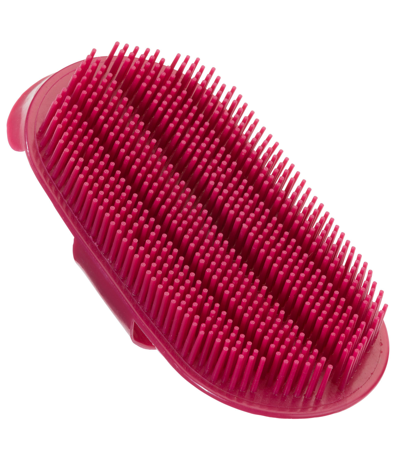 Curry Comb