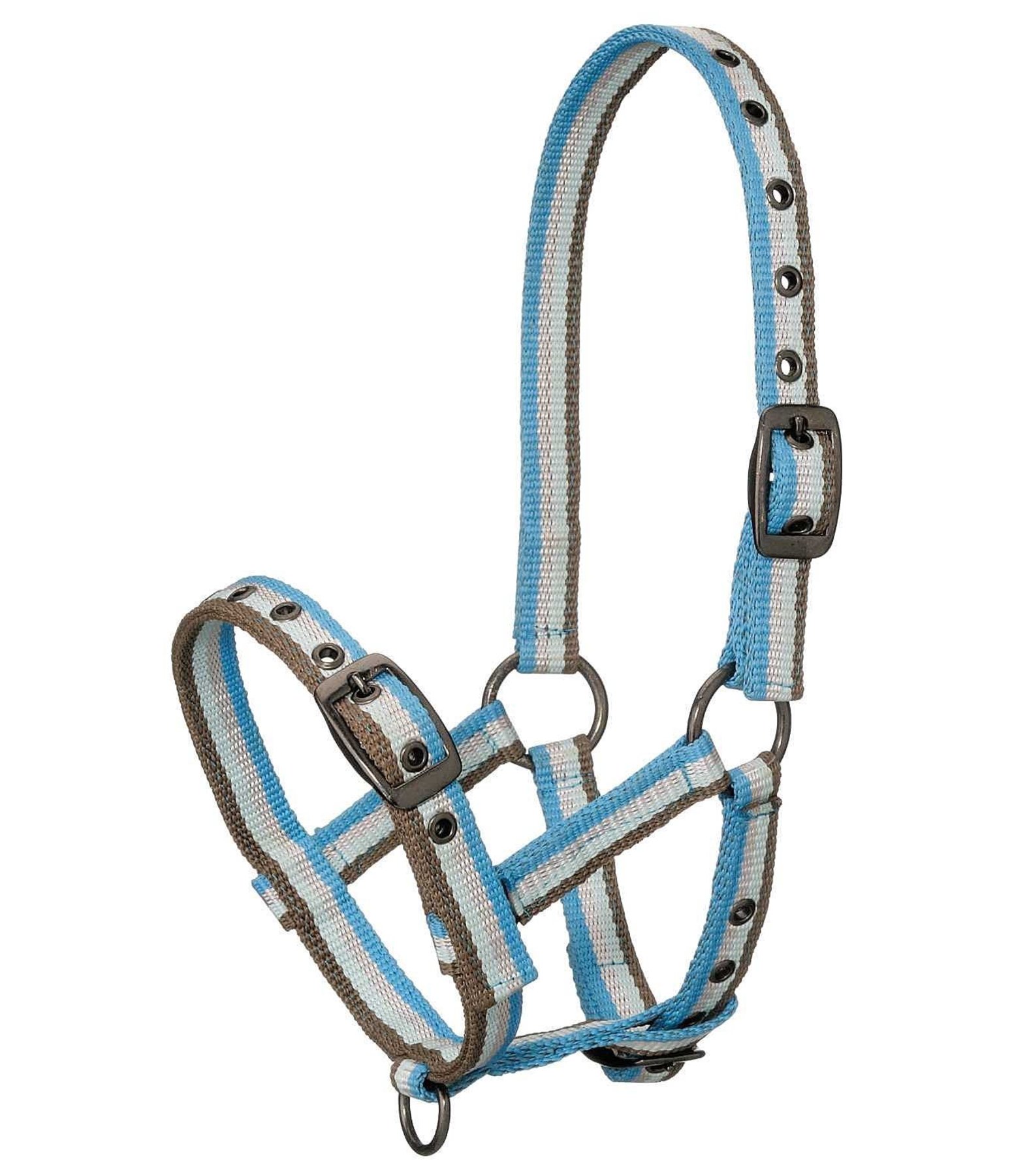 Rhinegold Bright Striped Fur Trim Shetland Headcollar Turquoise Stripe