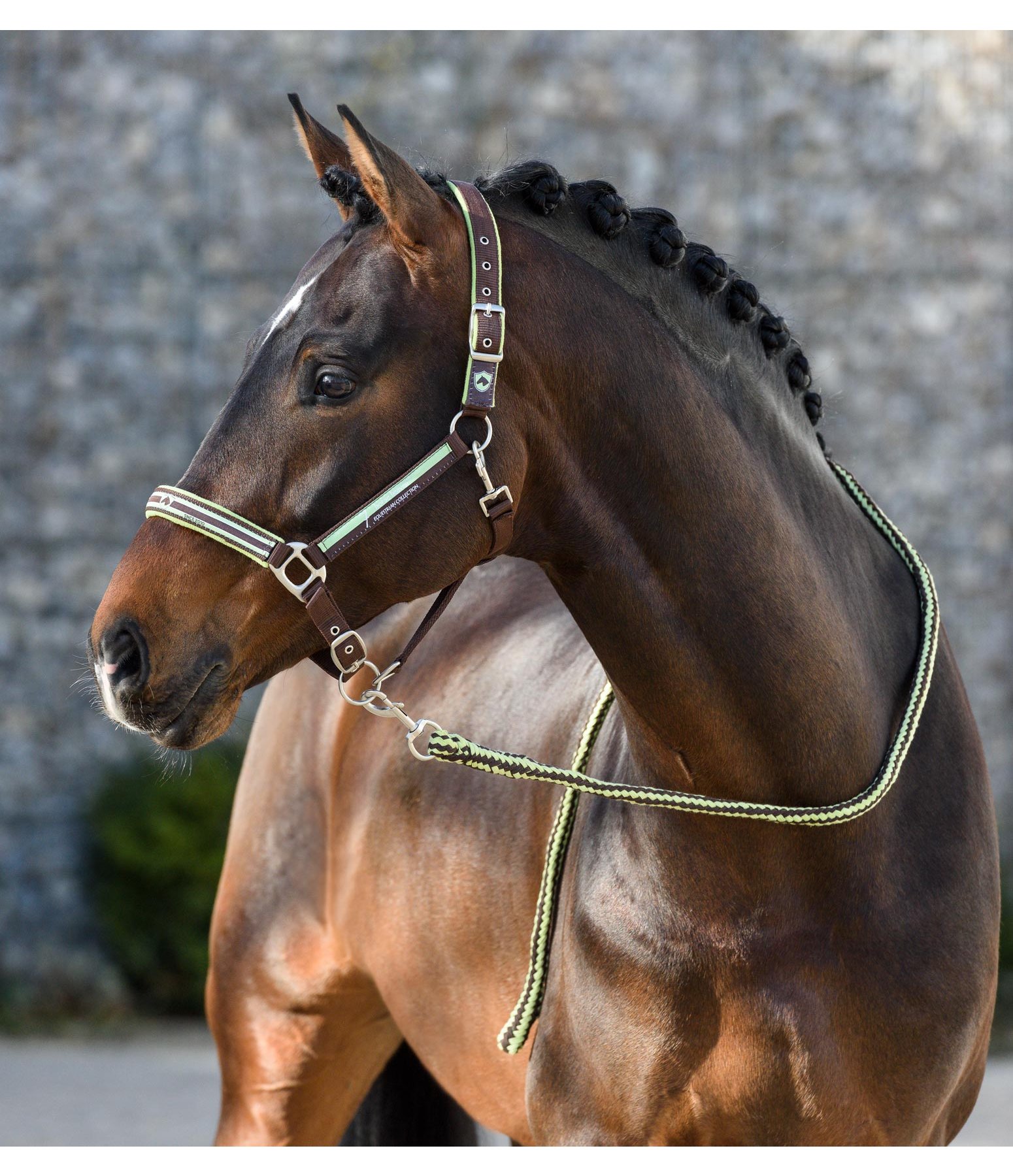 Headcollar Horse Heaven Headcollars & Lead Ropes Kramer Equestrian