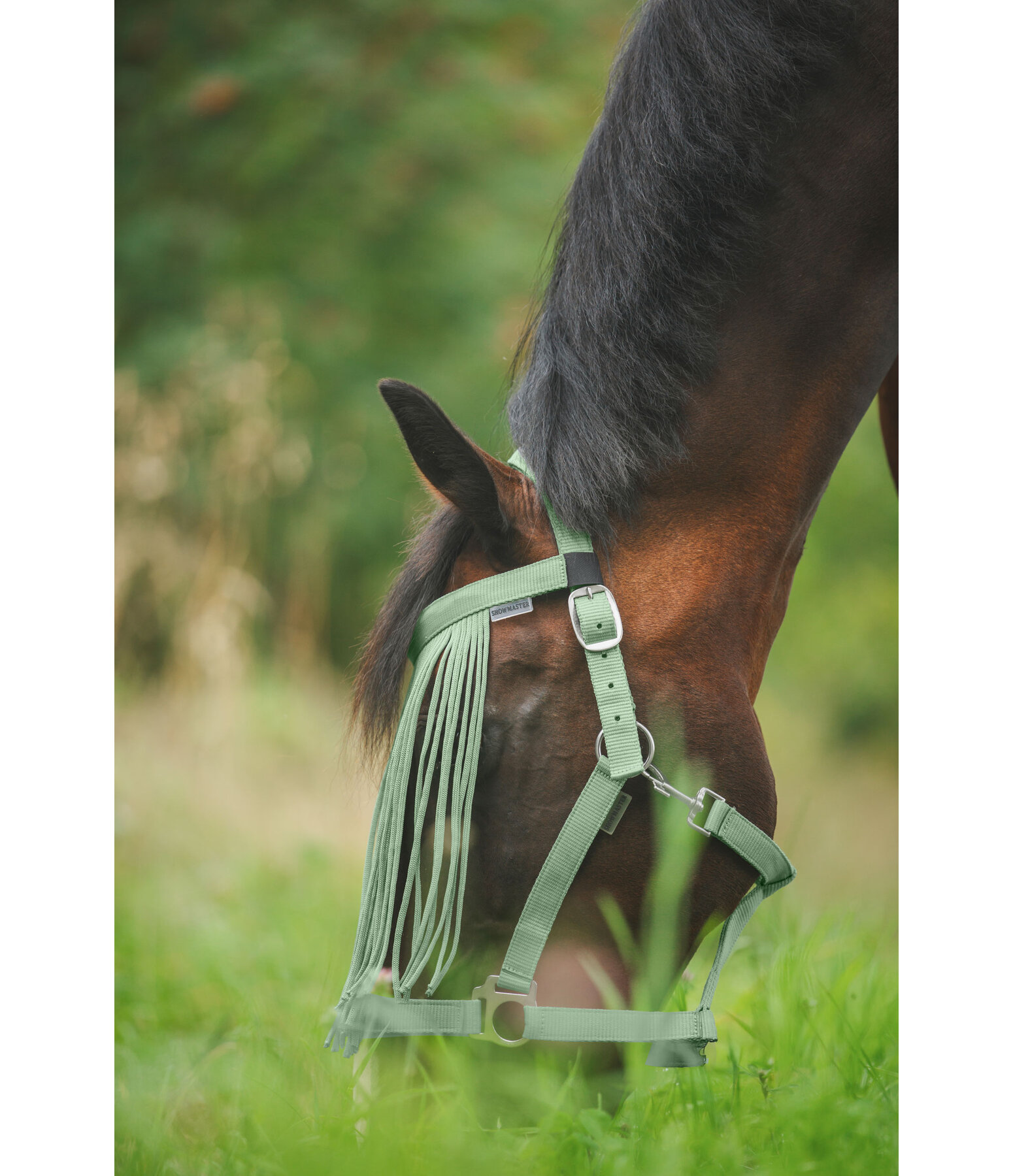 Fly Fringes Super Price
