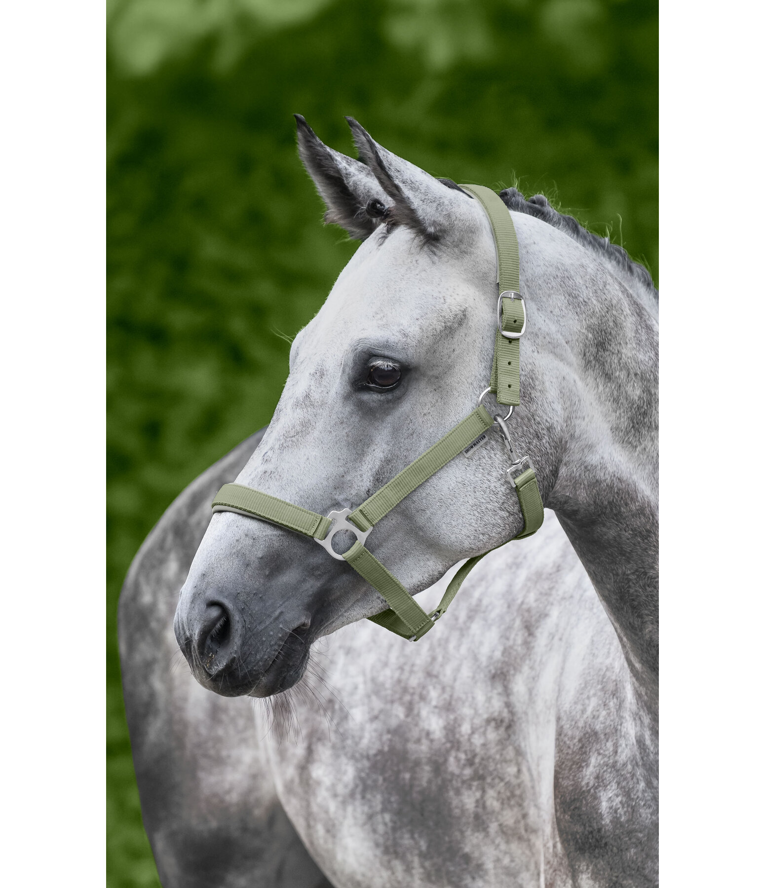 Headcollar Super Price ll