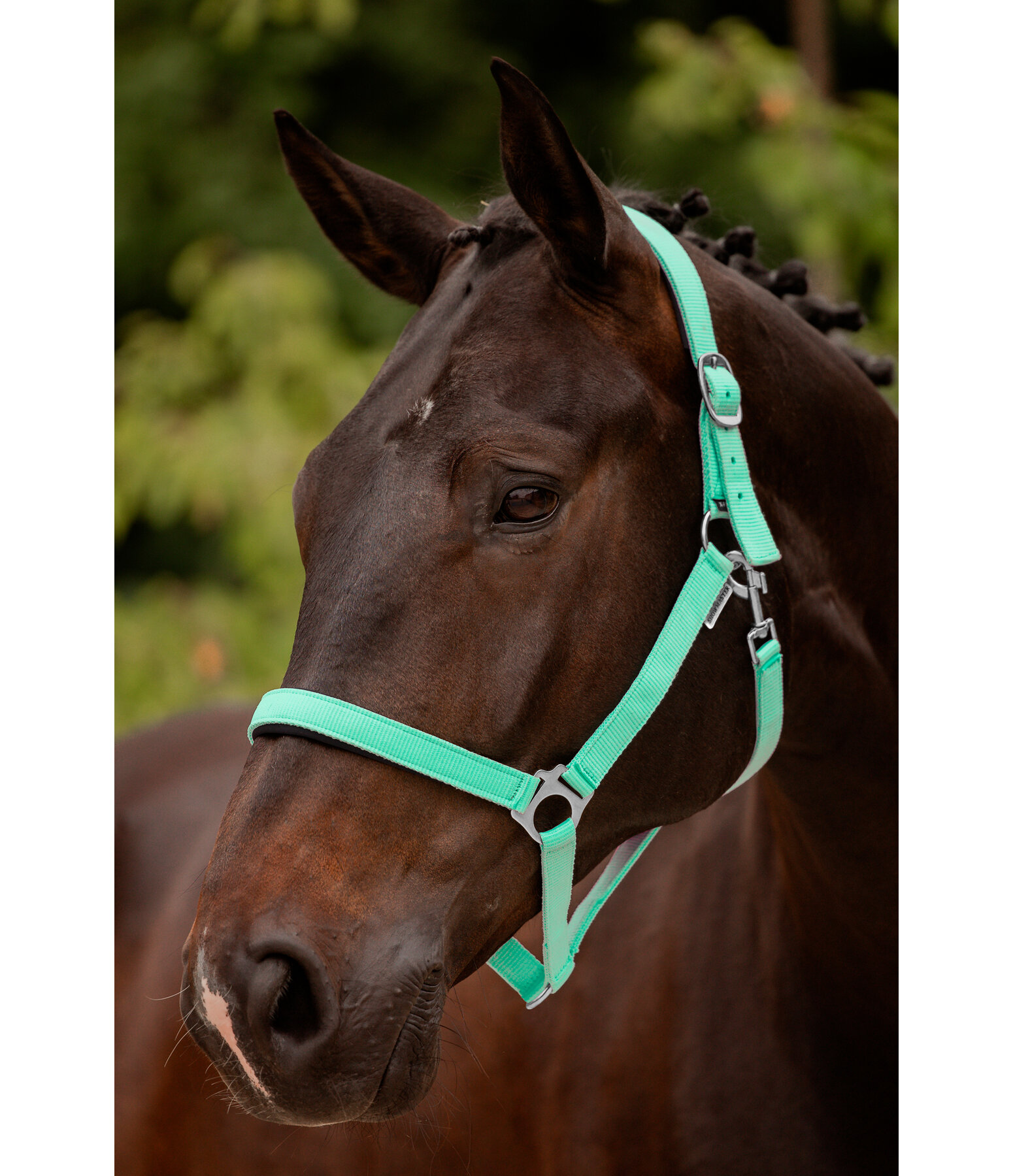 Headcollar Super Price ll