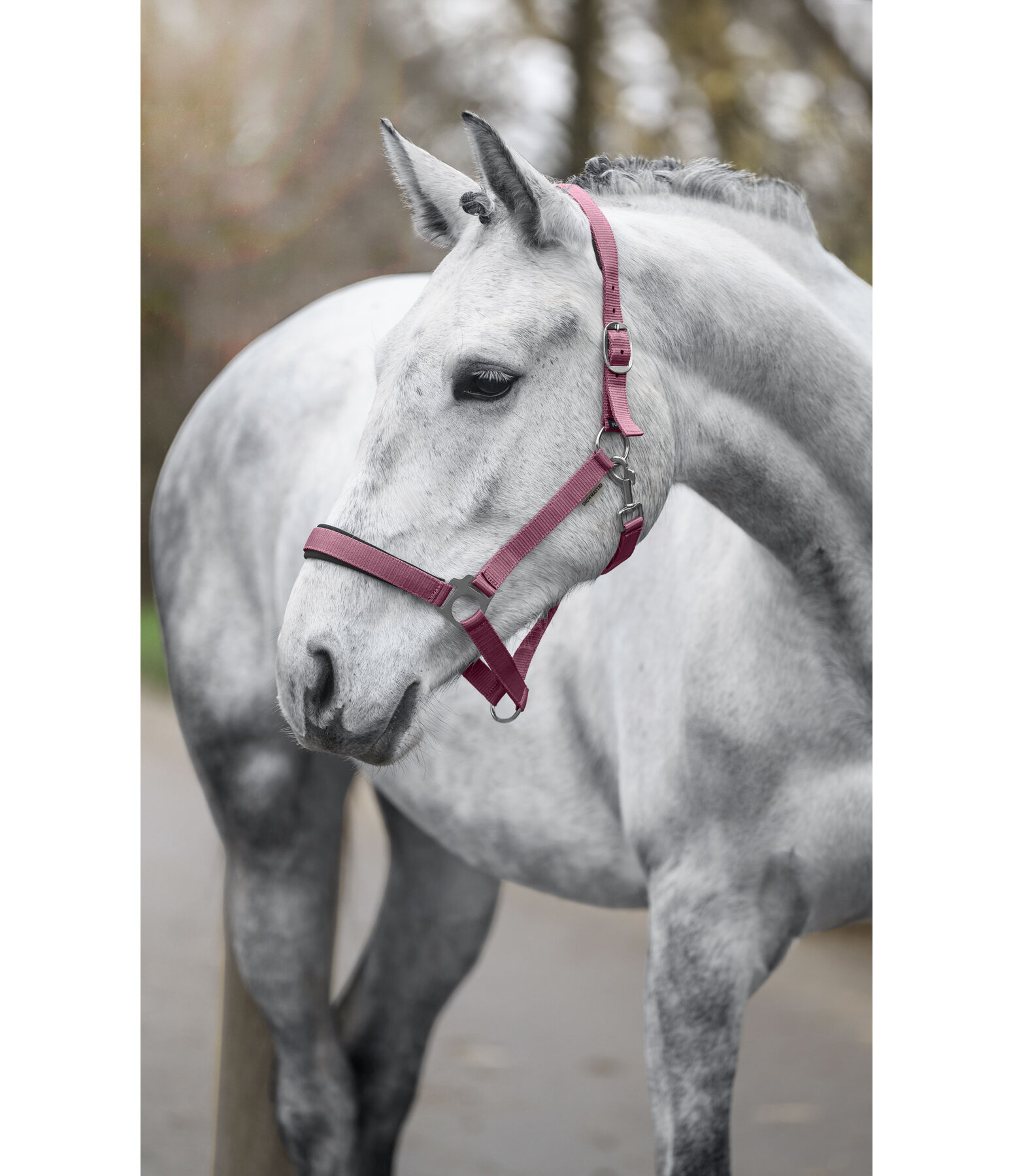 Headcollar Super Price ll
