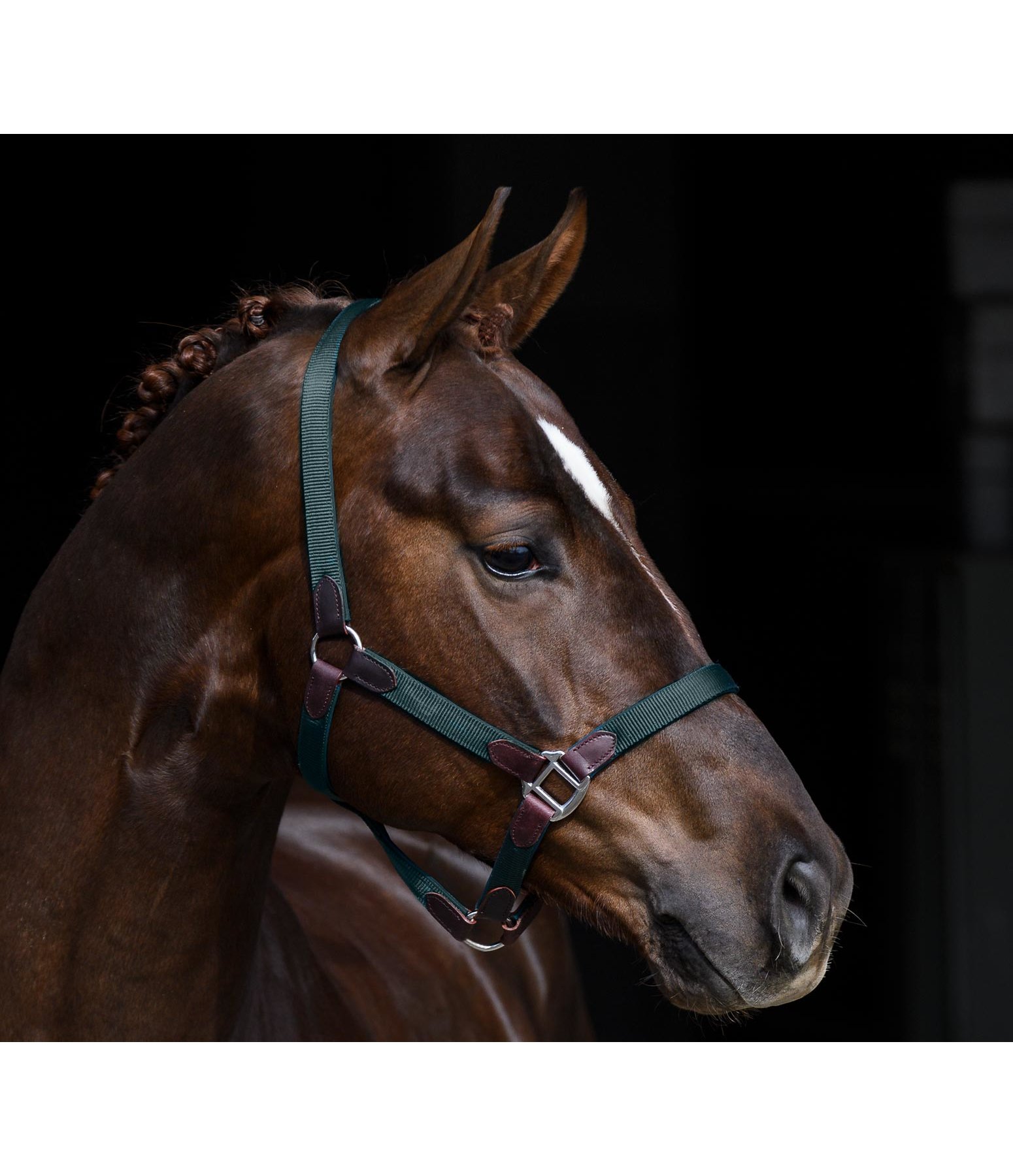 Headcollar Kate