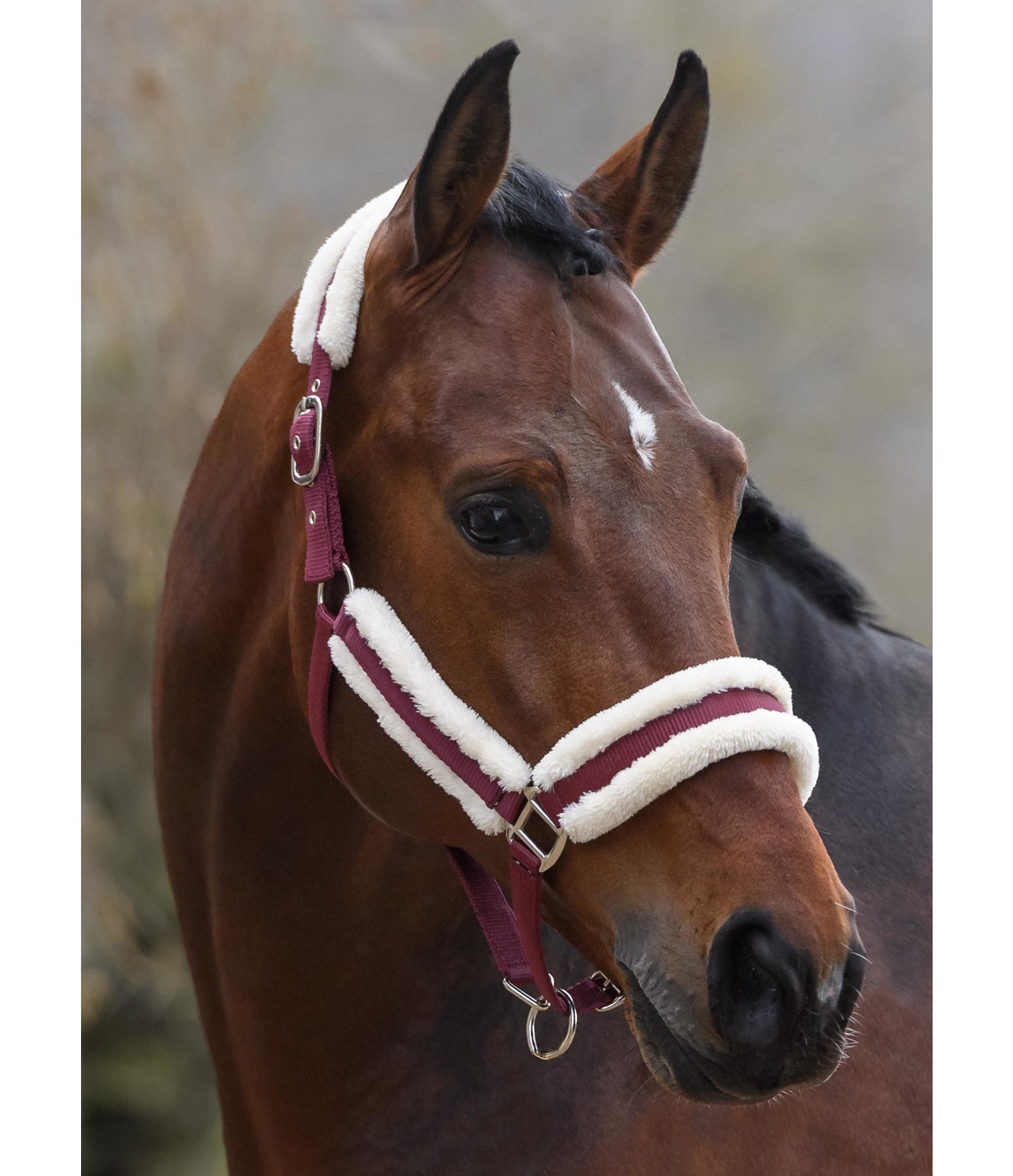 Headcollar Cosy