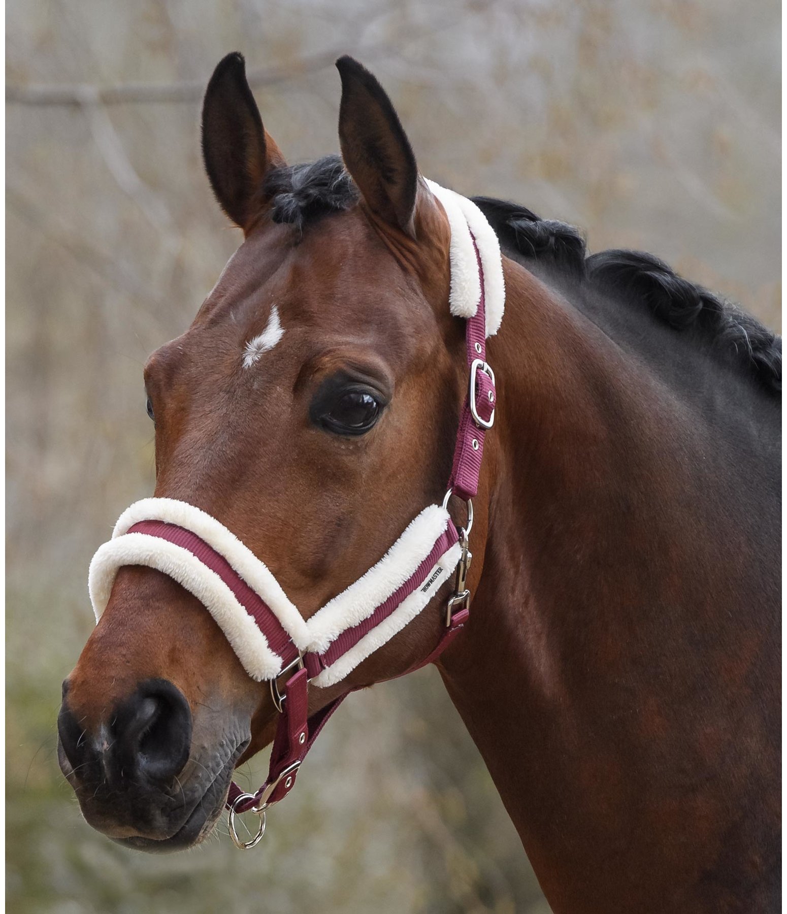 Headcollar Cosy