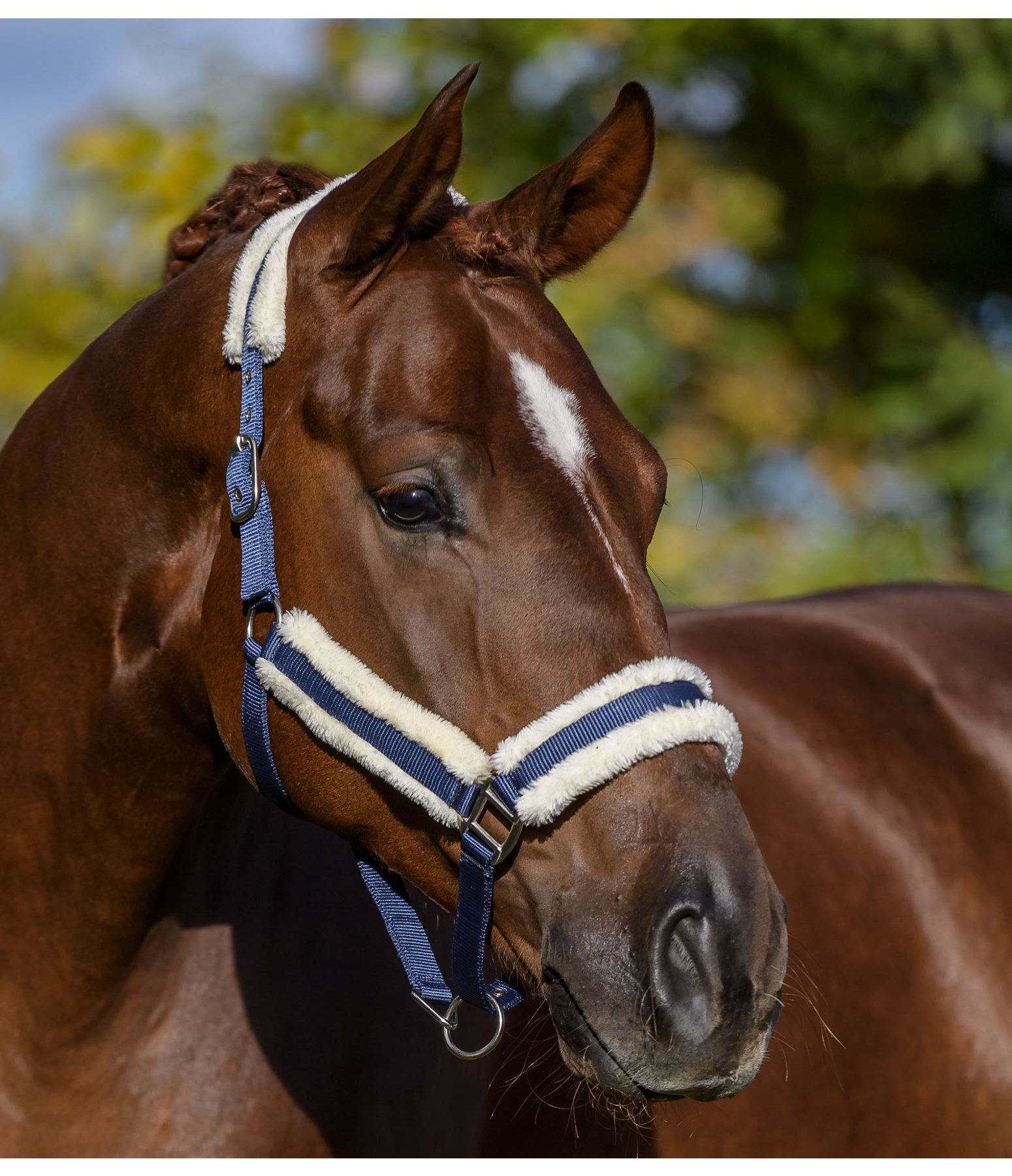 Headcollar Cosy