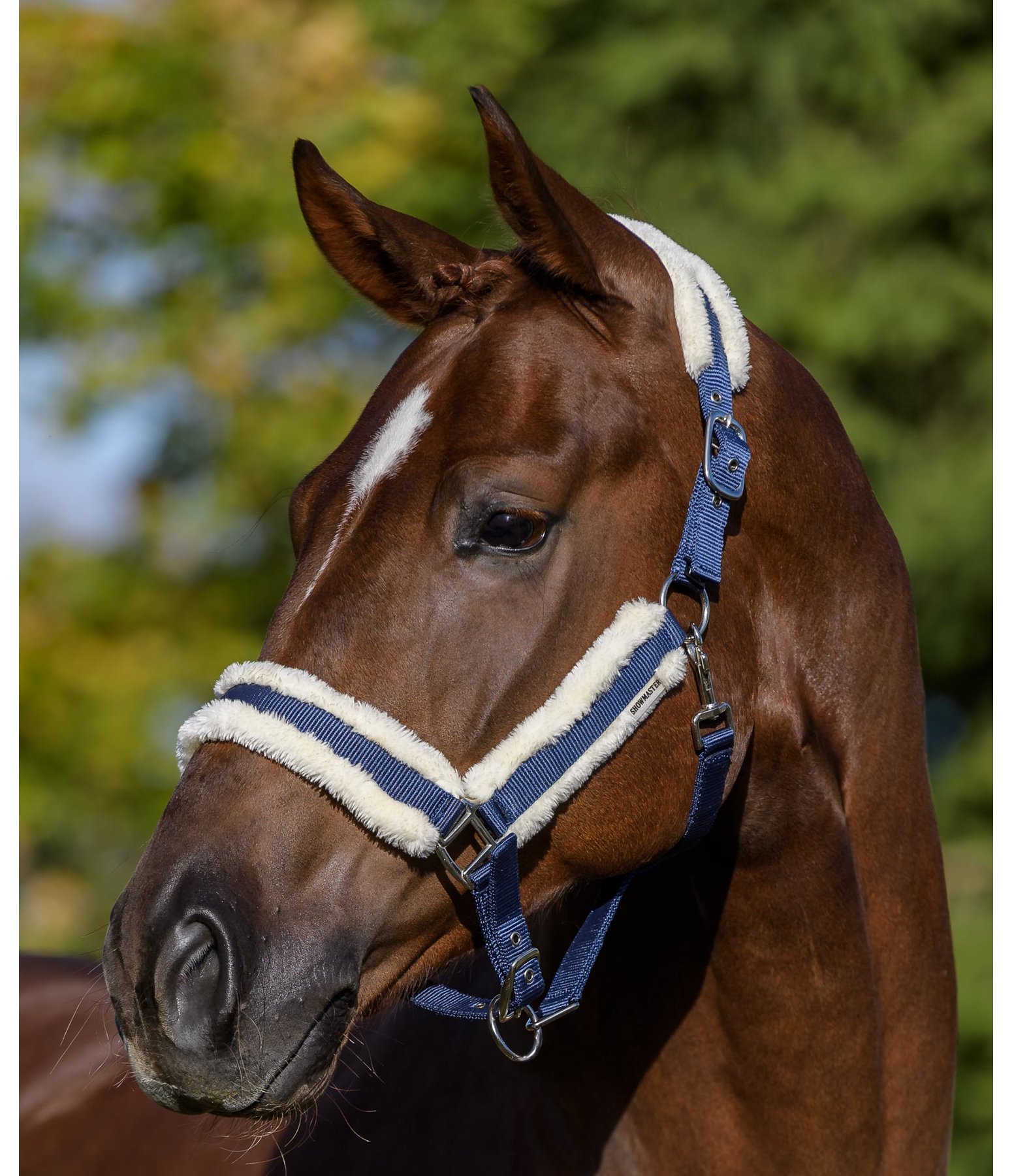 Headcollar Cosy