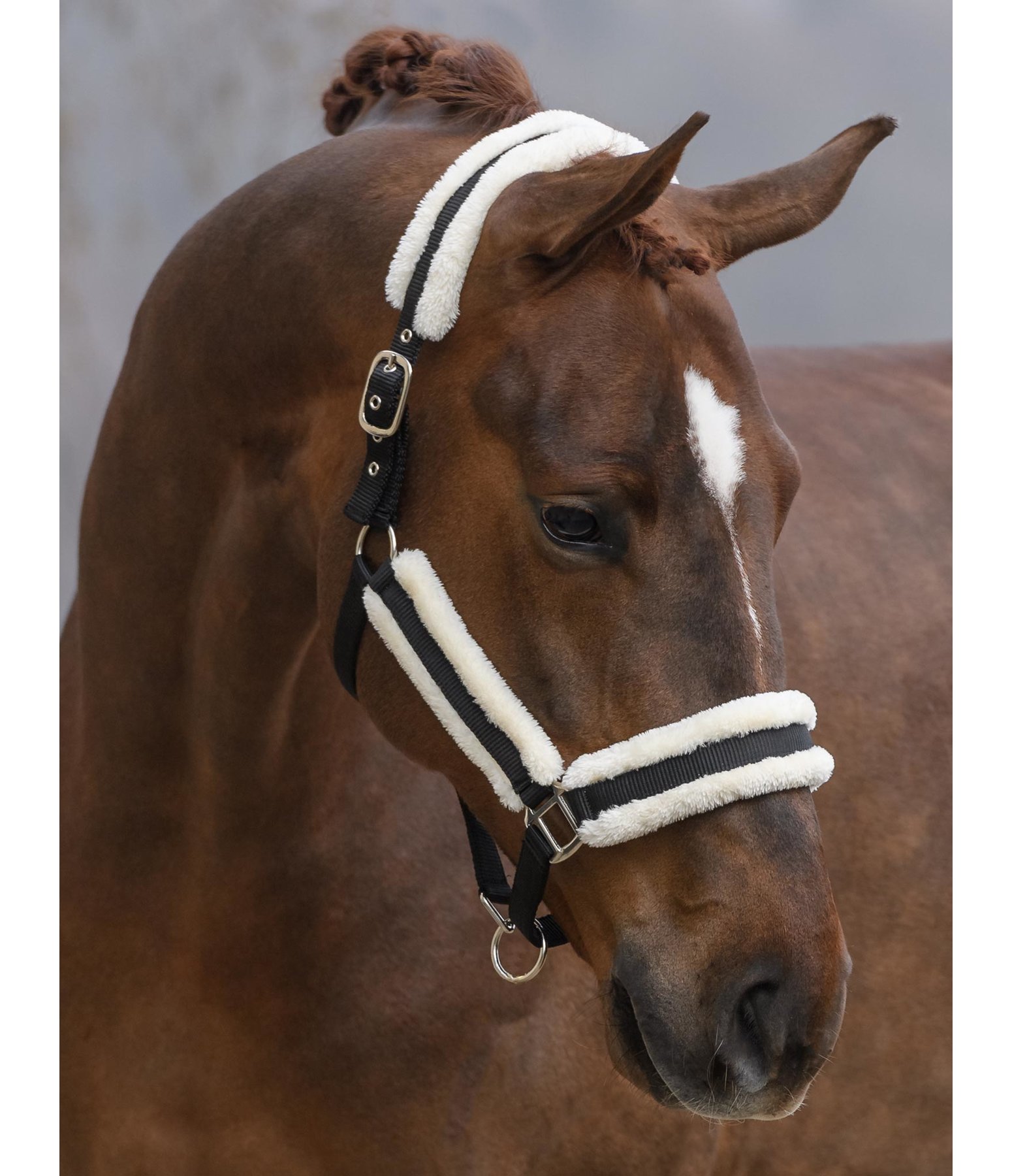 Headcollar Cosy