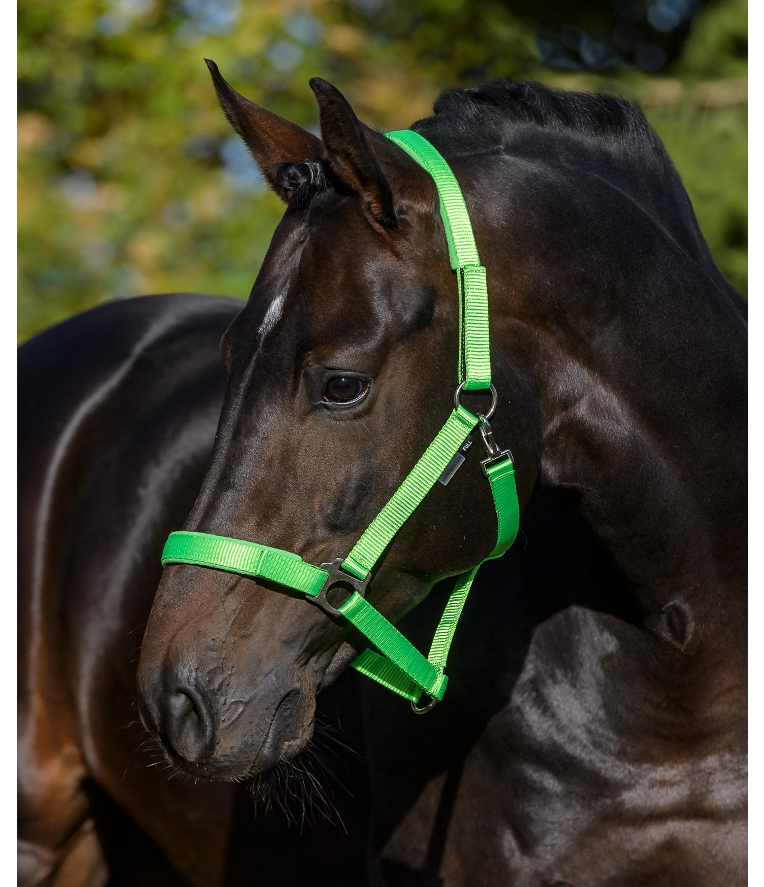 Safety and Field Headcollar Safety Headcollars Kramer Equestrian