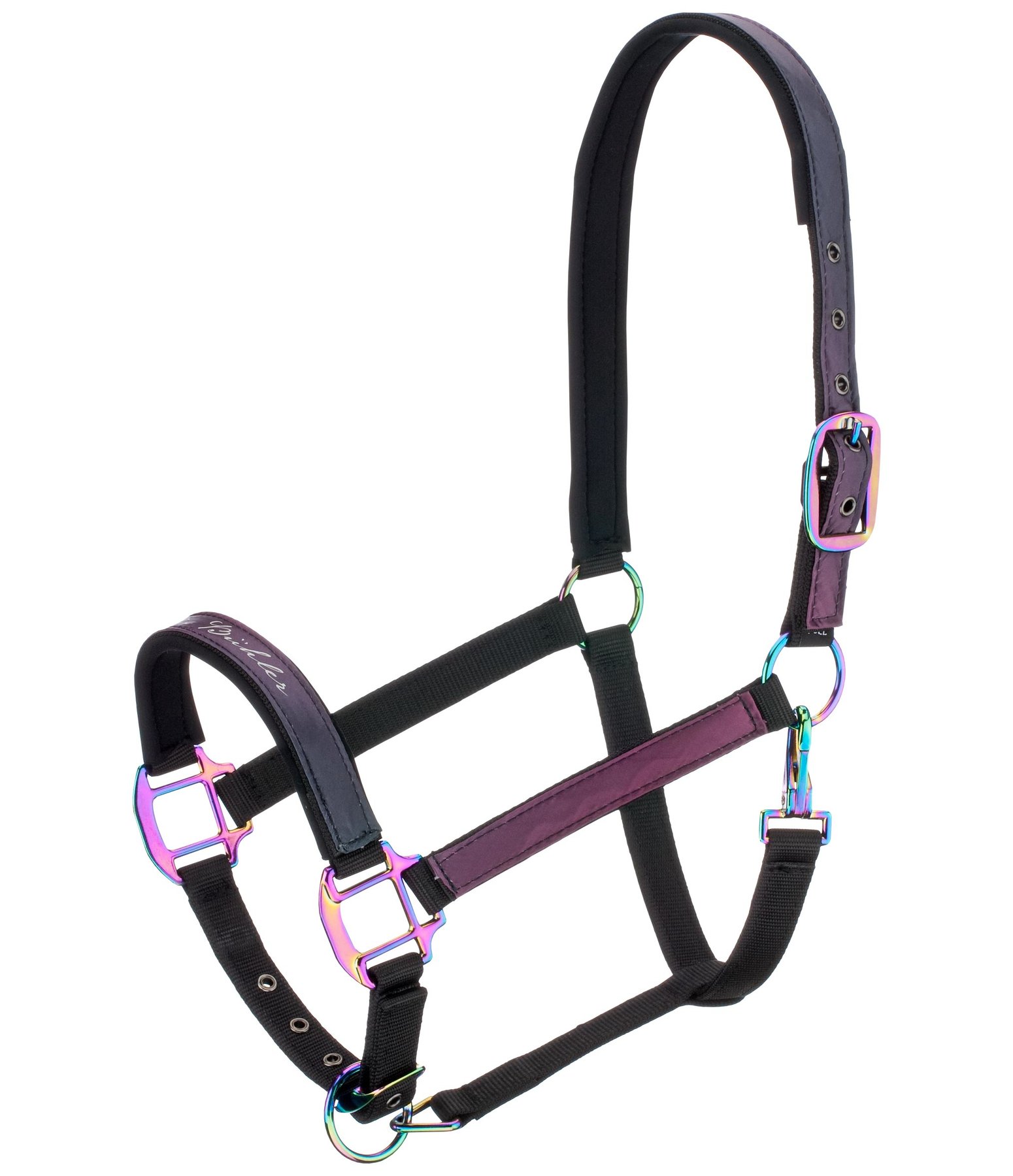 Headcollar Colour X Plosion Ashley