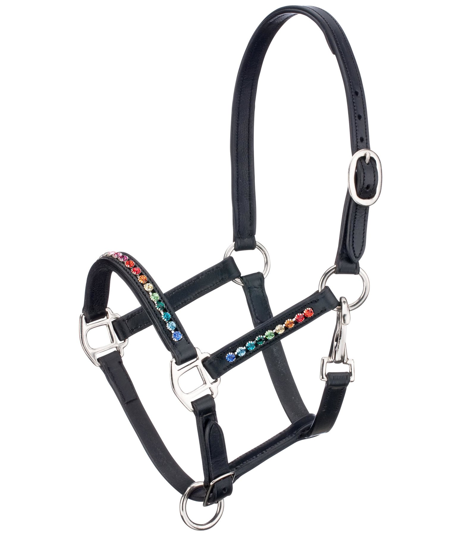 rainbow headcollar