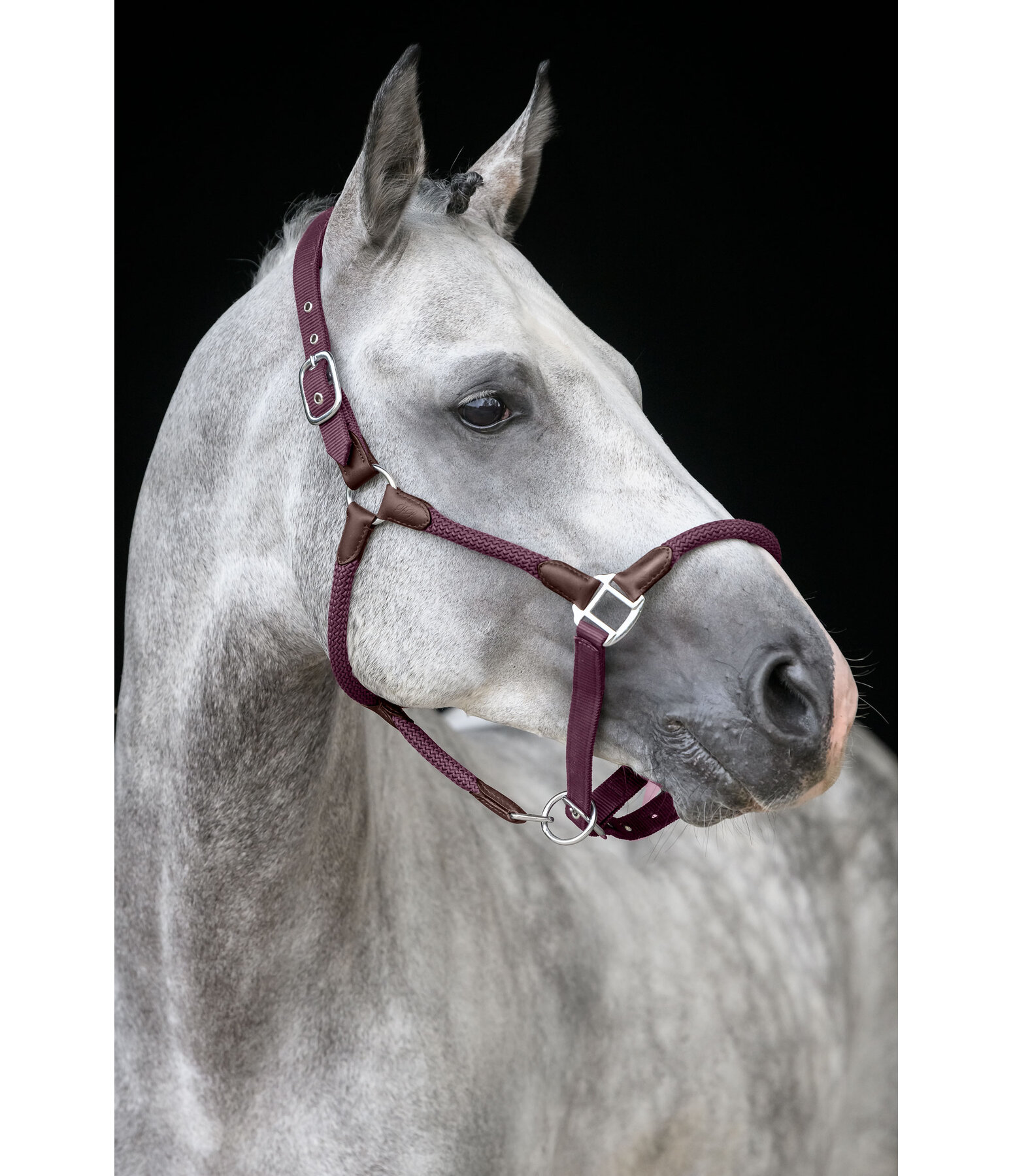 Headcollar Meghan