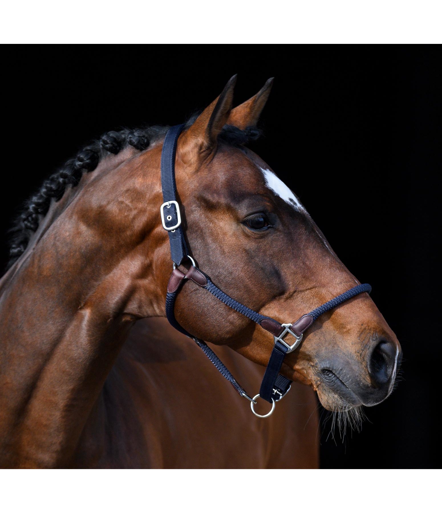 Headcollar Meghan