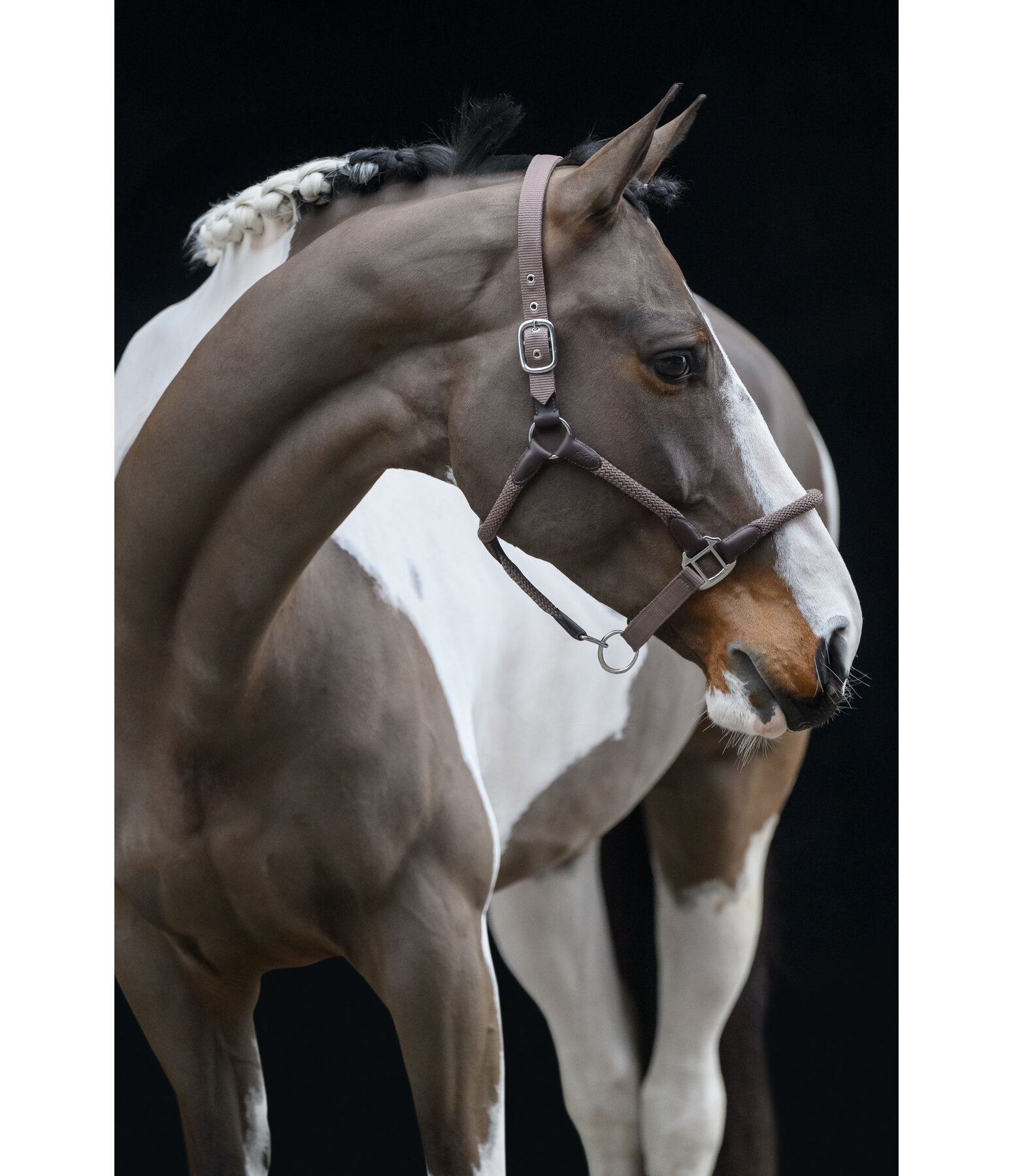 Headcollar Meghan