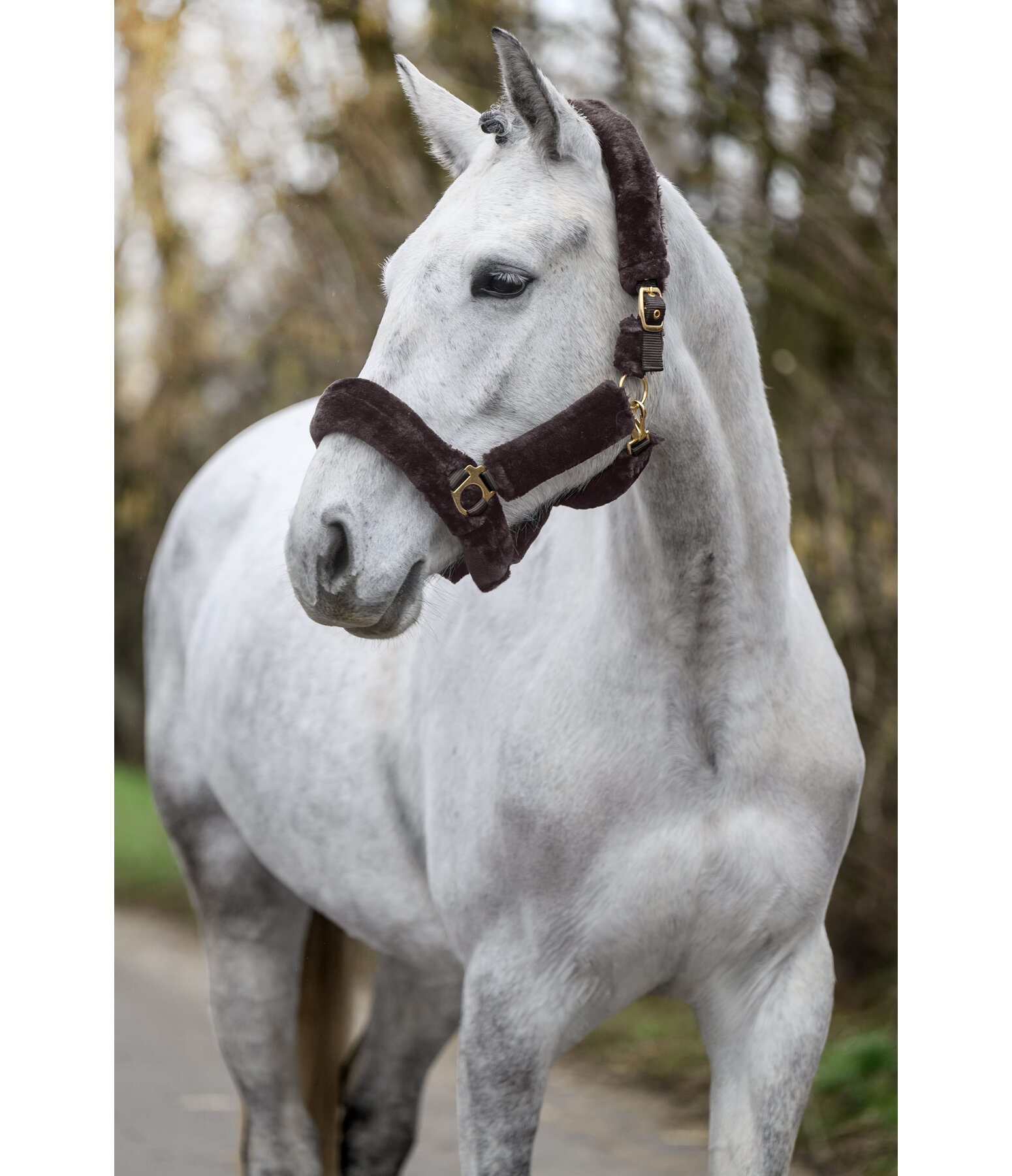 Teddy Fleece Headcollar Protection