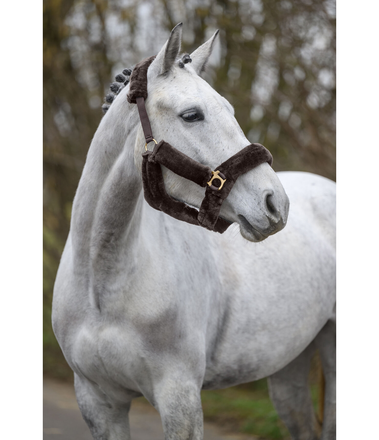 Teddy Fleece Headcollar Protection