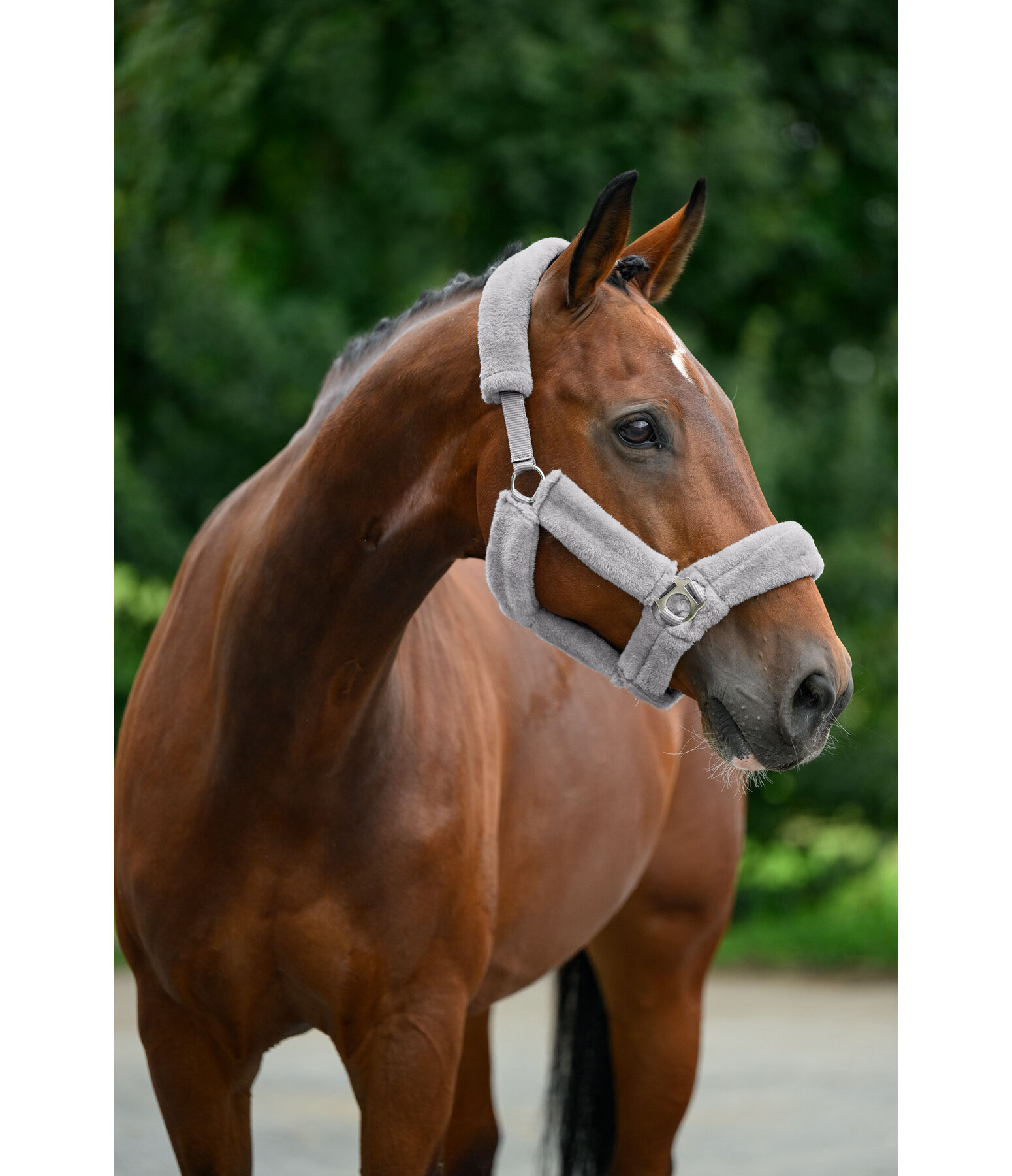 Teddy Fleece Headcollar Protection