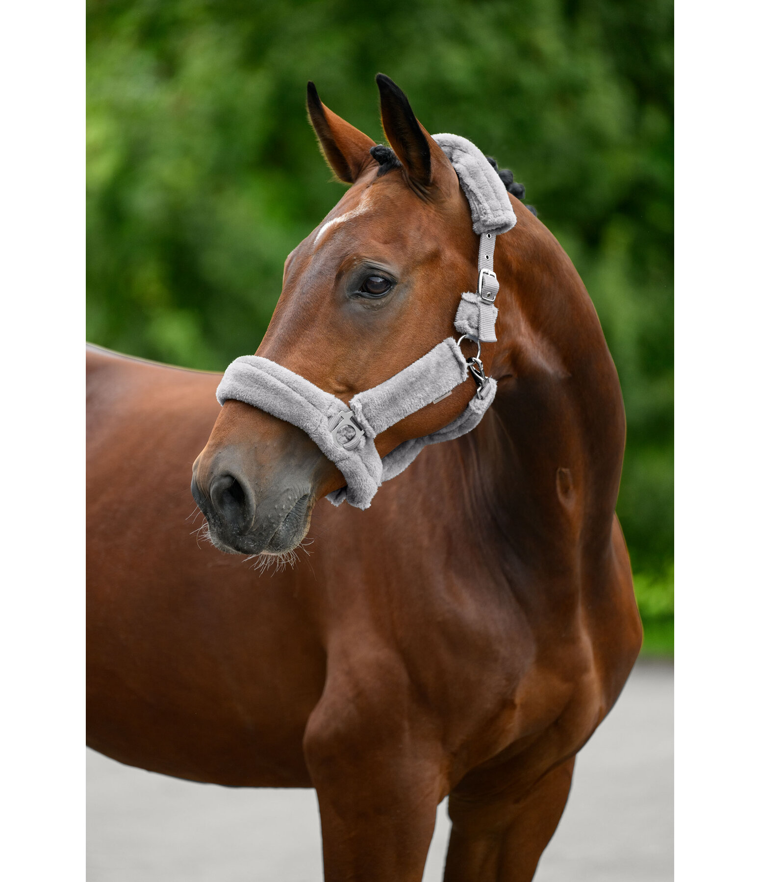 Teddy Fleece Headcollar Protection