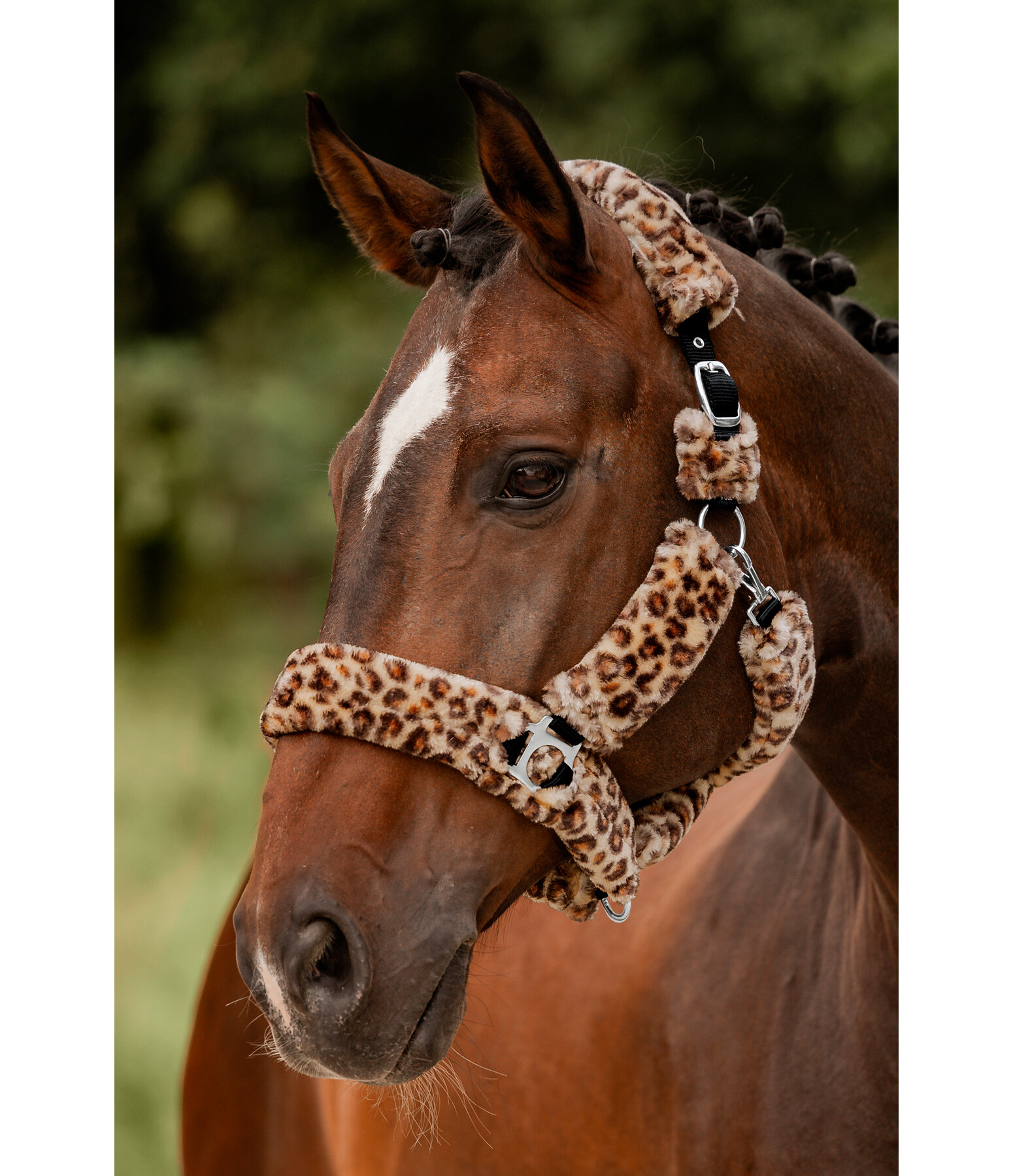 Teddy Fleece Headcollar Protection