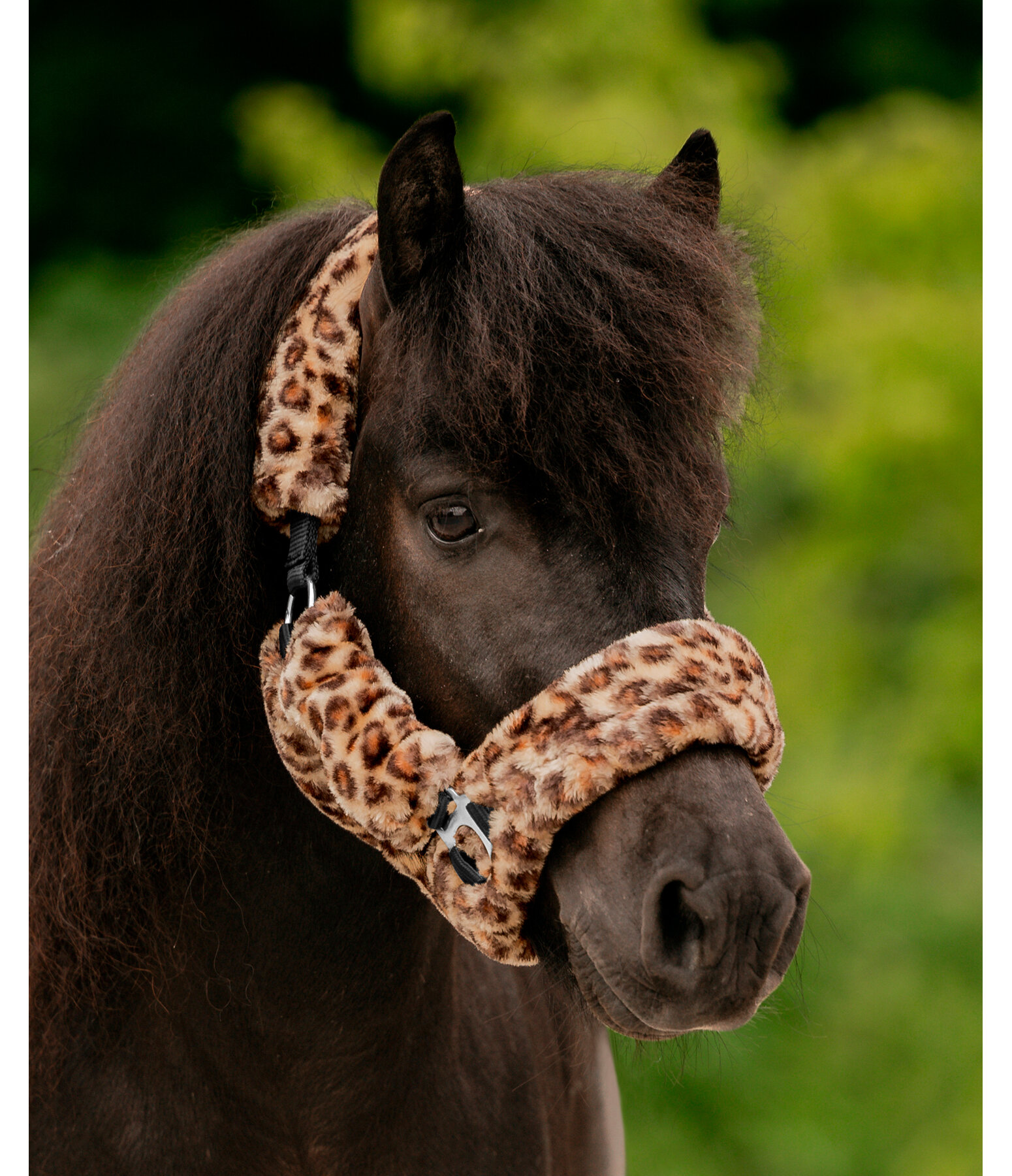 Teddy Fleece Headcollar Protection