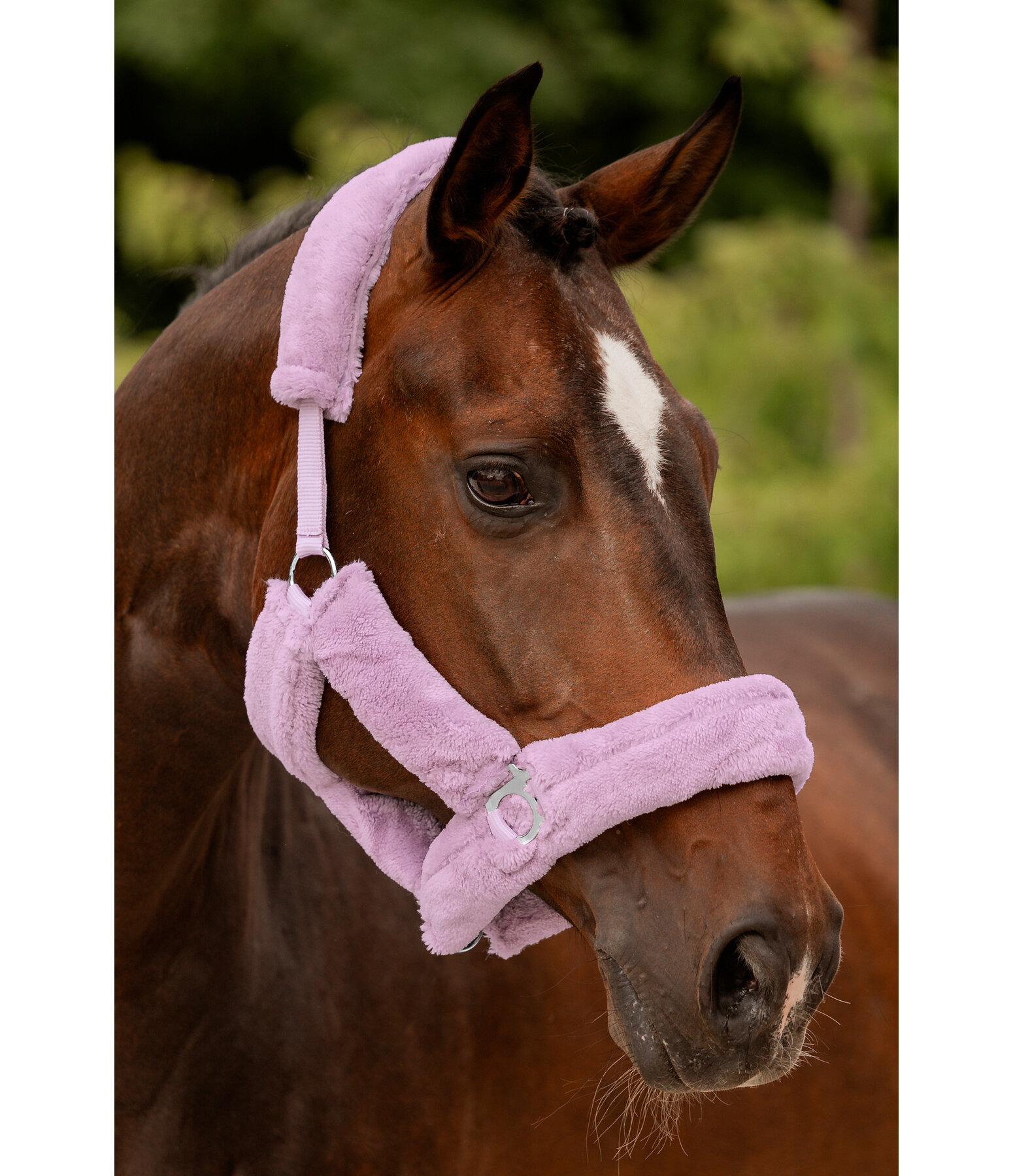 Teddy Fleece Headcollar Protection