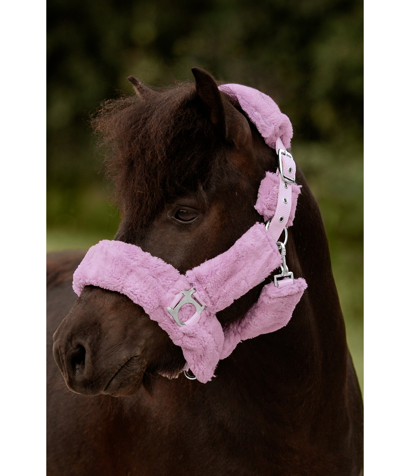 Teddy Fleece Headcollar Protection