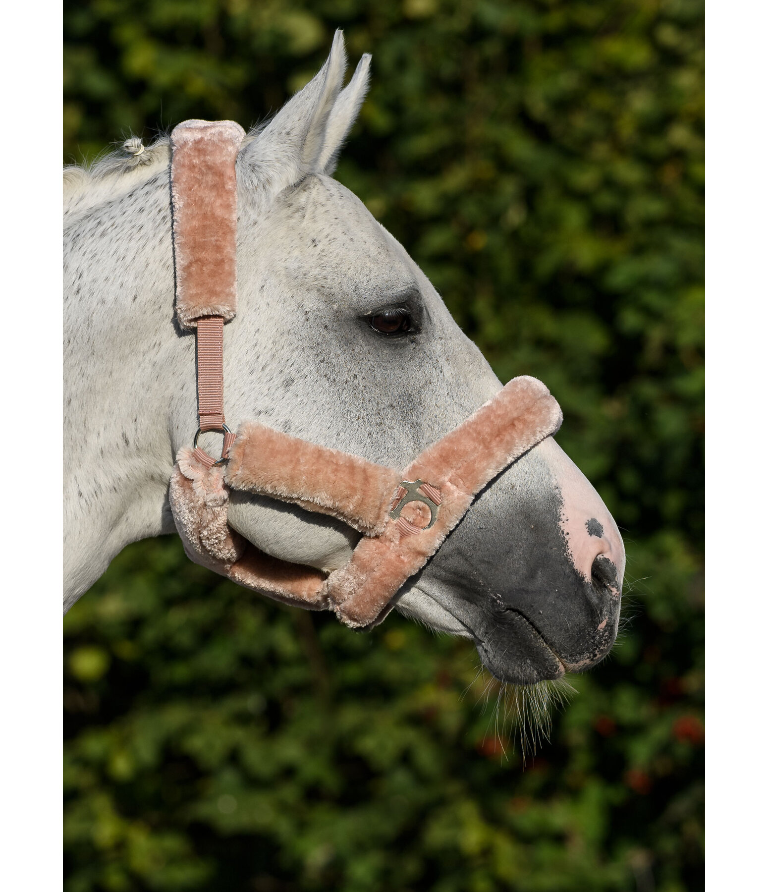 Teddy Fleece Headcollar Protection