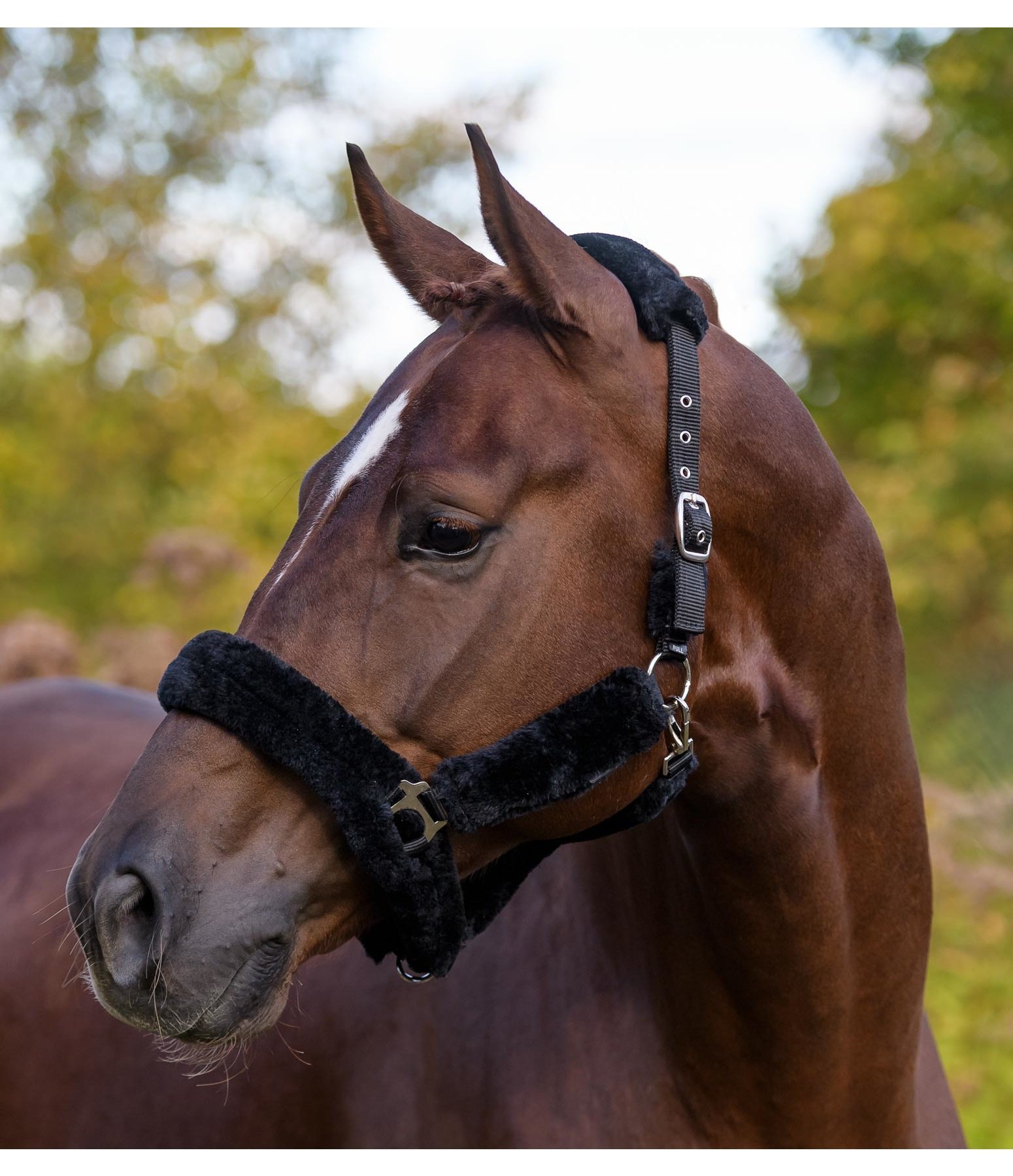 Teddy Fleece Headcollar Protection