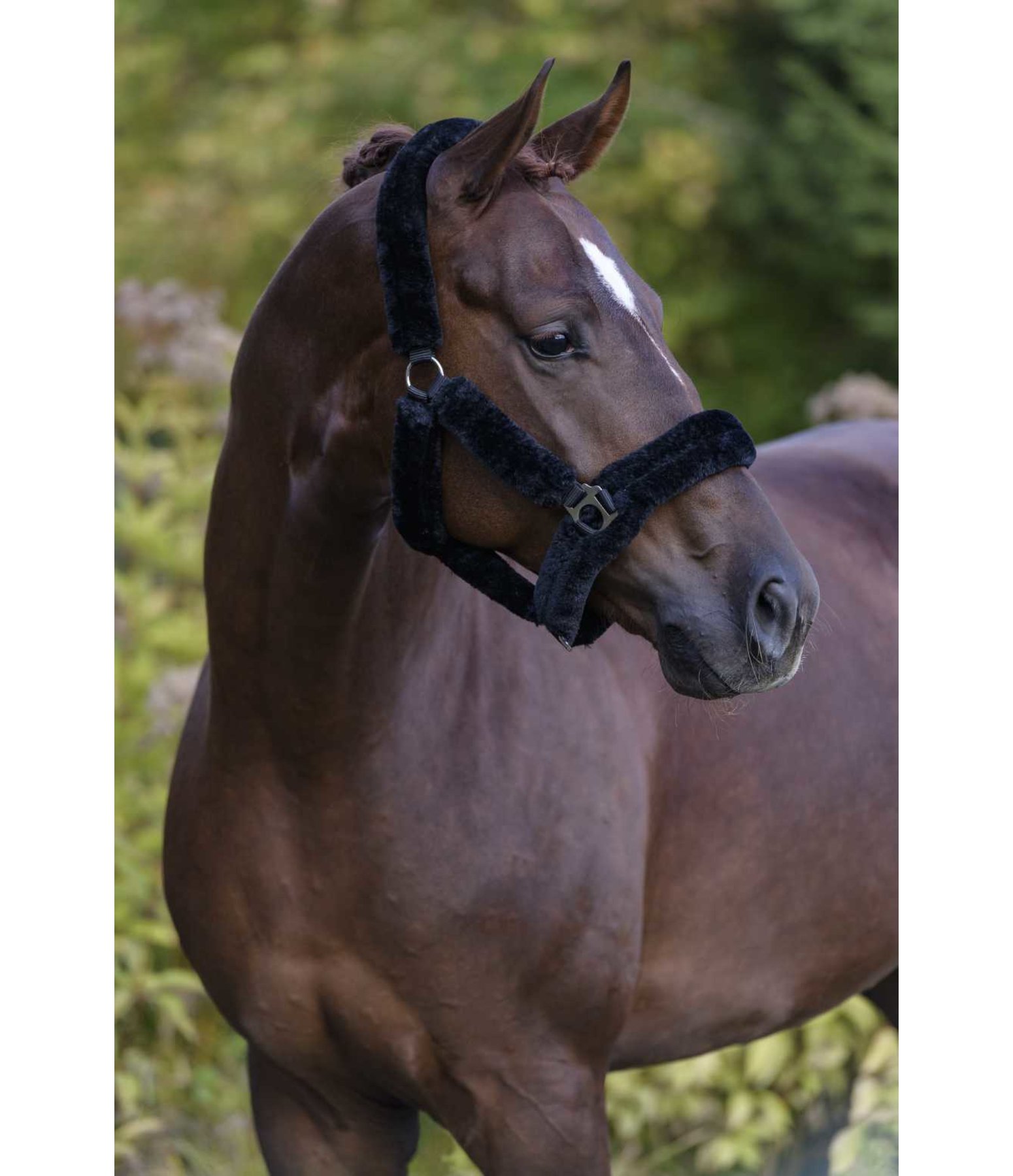 Teddy Fleece Headcollar Protection