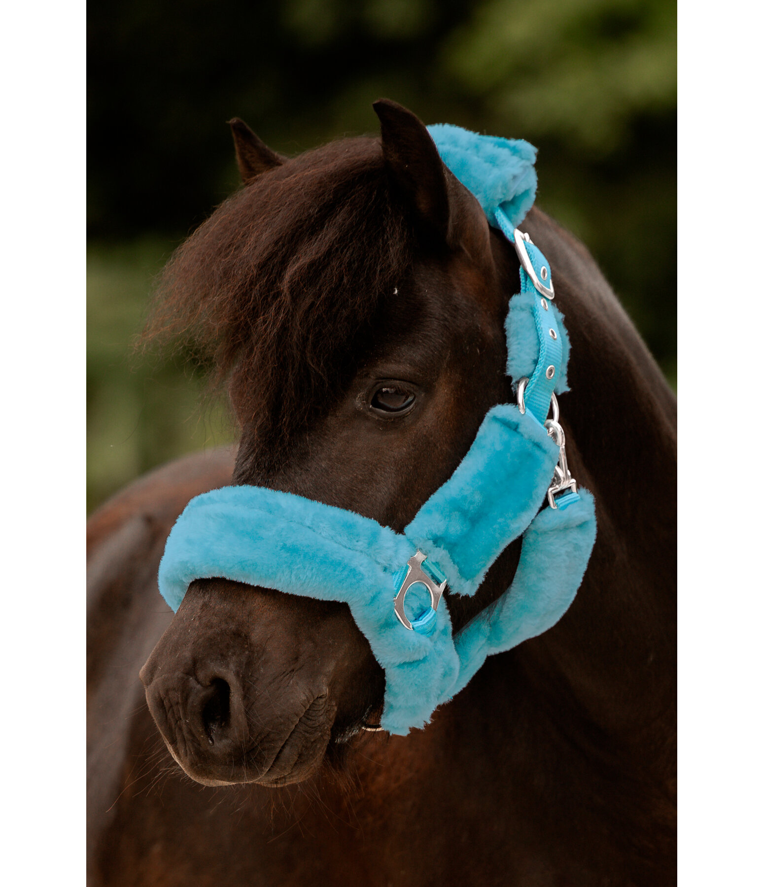 Teddy Fleece Headcollar Protection