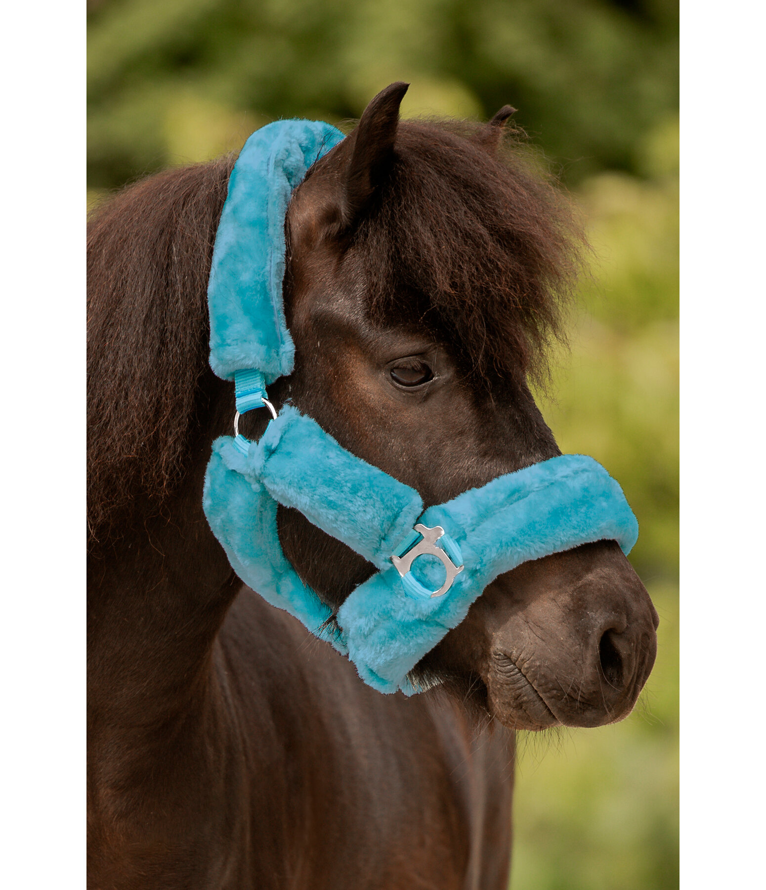 Teddy Fleece Headcollar Protection