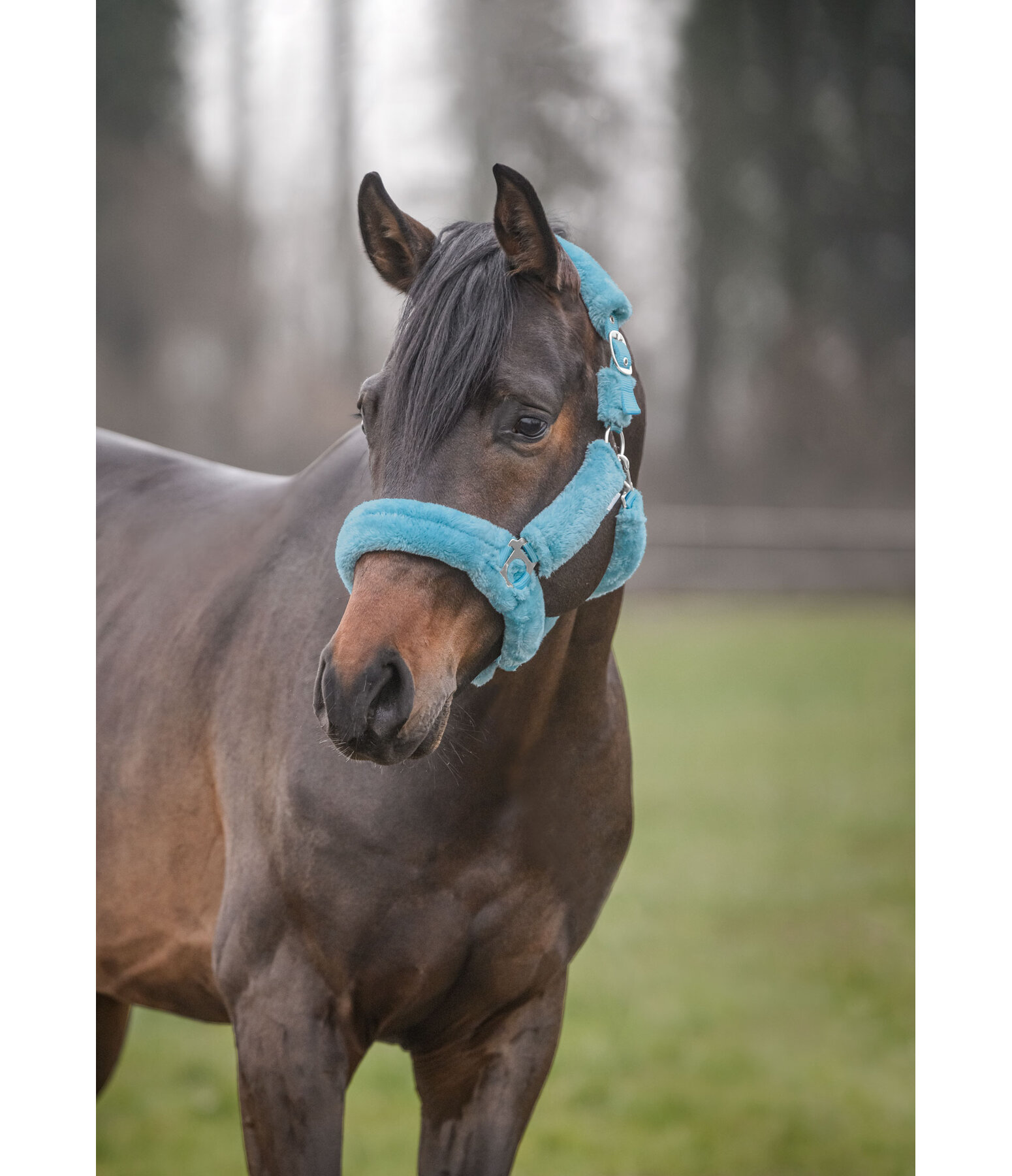 Teddy Fleece Headcollar Protection