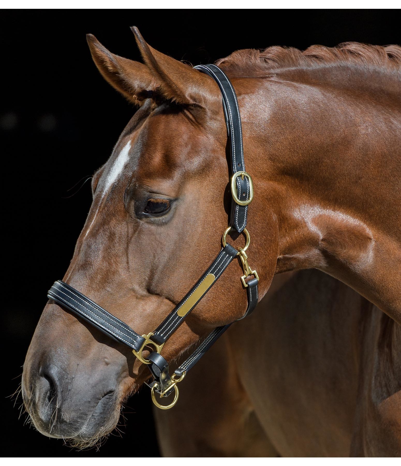 Leather Headcollar Engraver