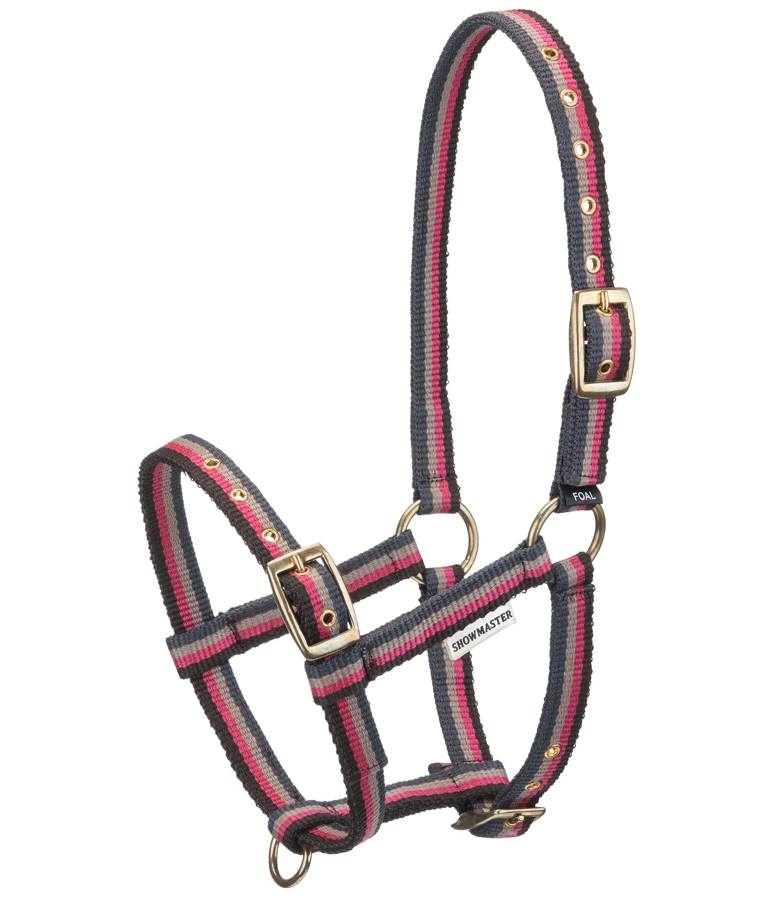 Foal Headcollar Darling