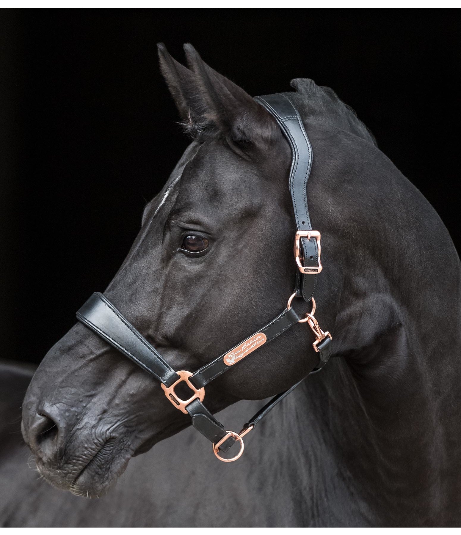 Leather Headcollar Butterfly Leather Headcollars Kramer Equestrian