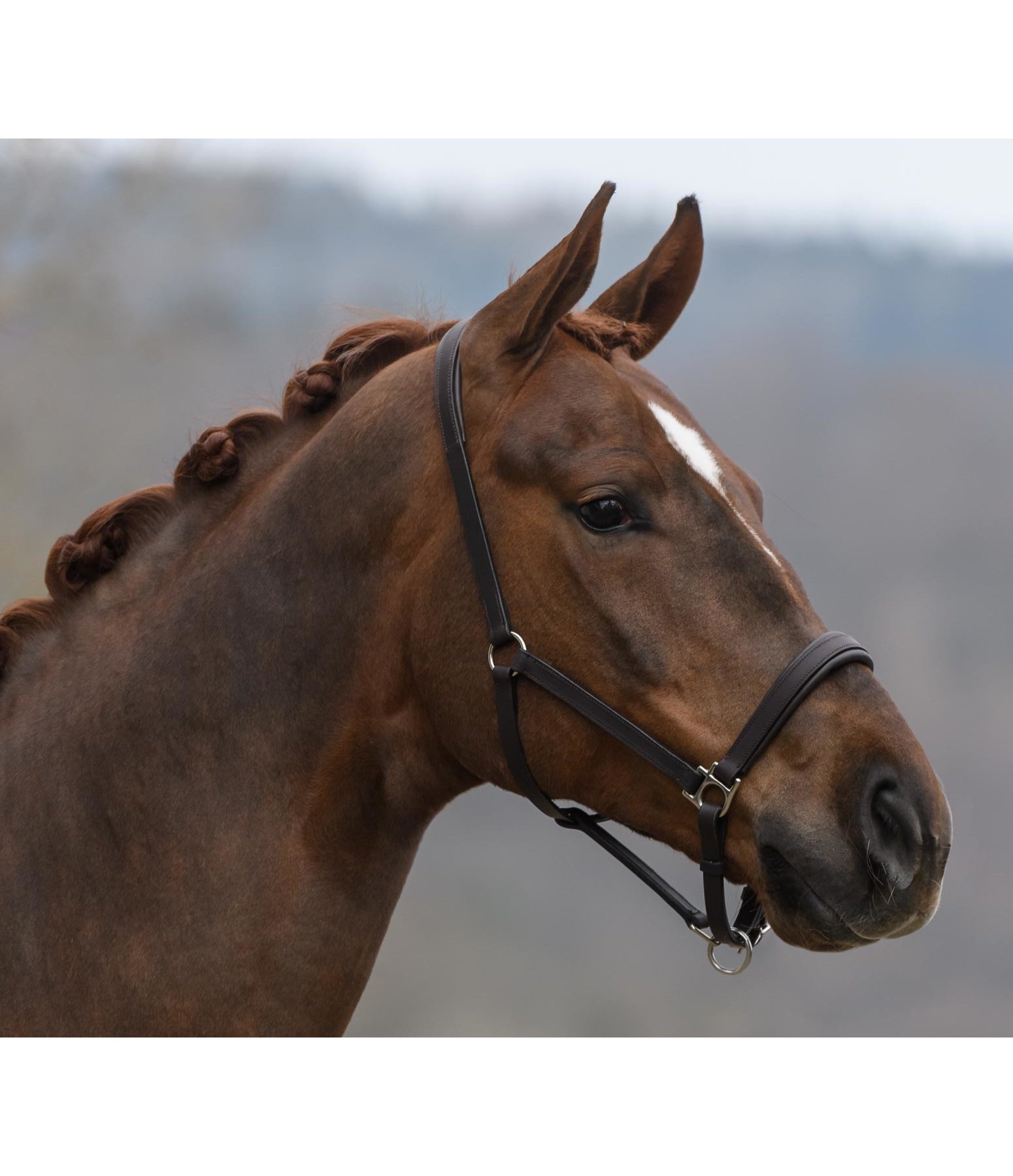 Leather Headcollar Siri