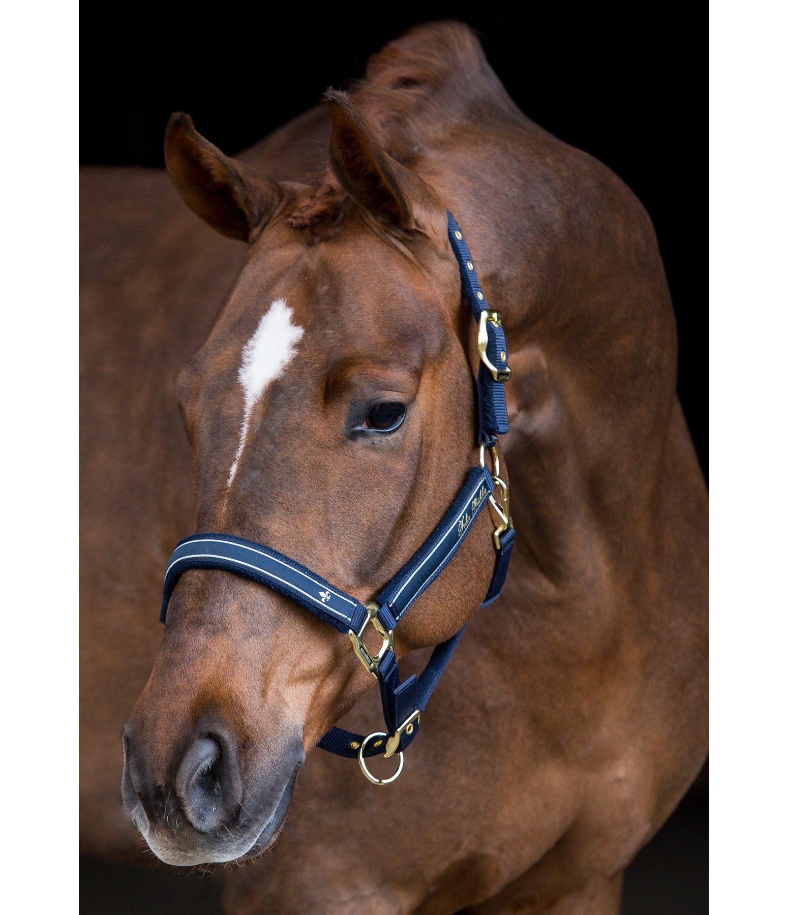 Headcollar Glamorous