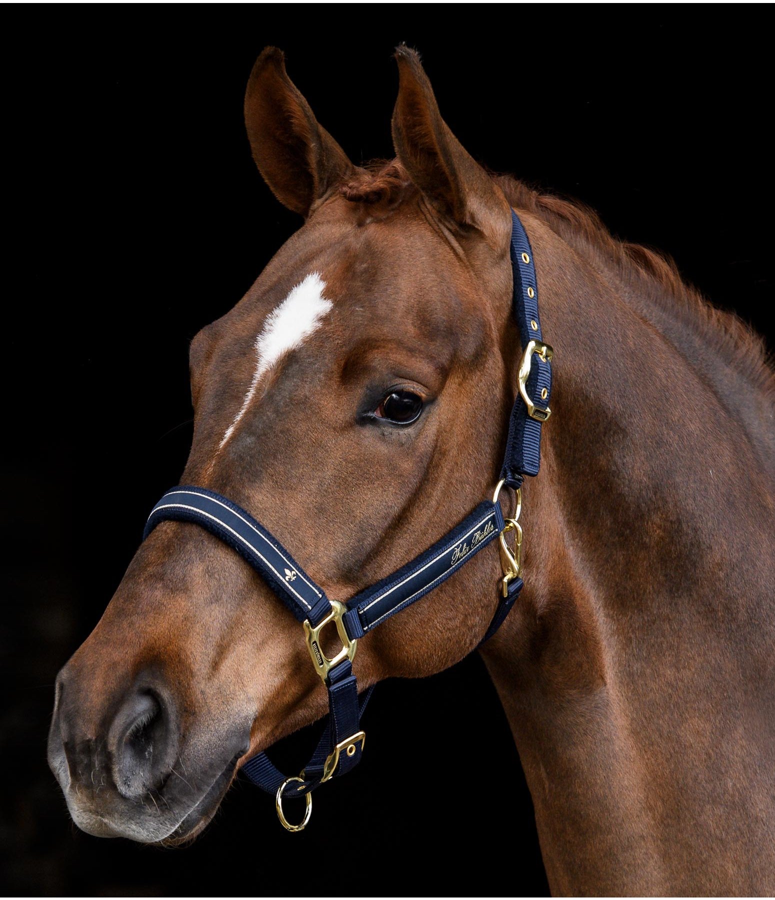 Headcollar Glamorous