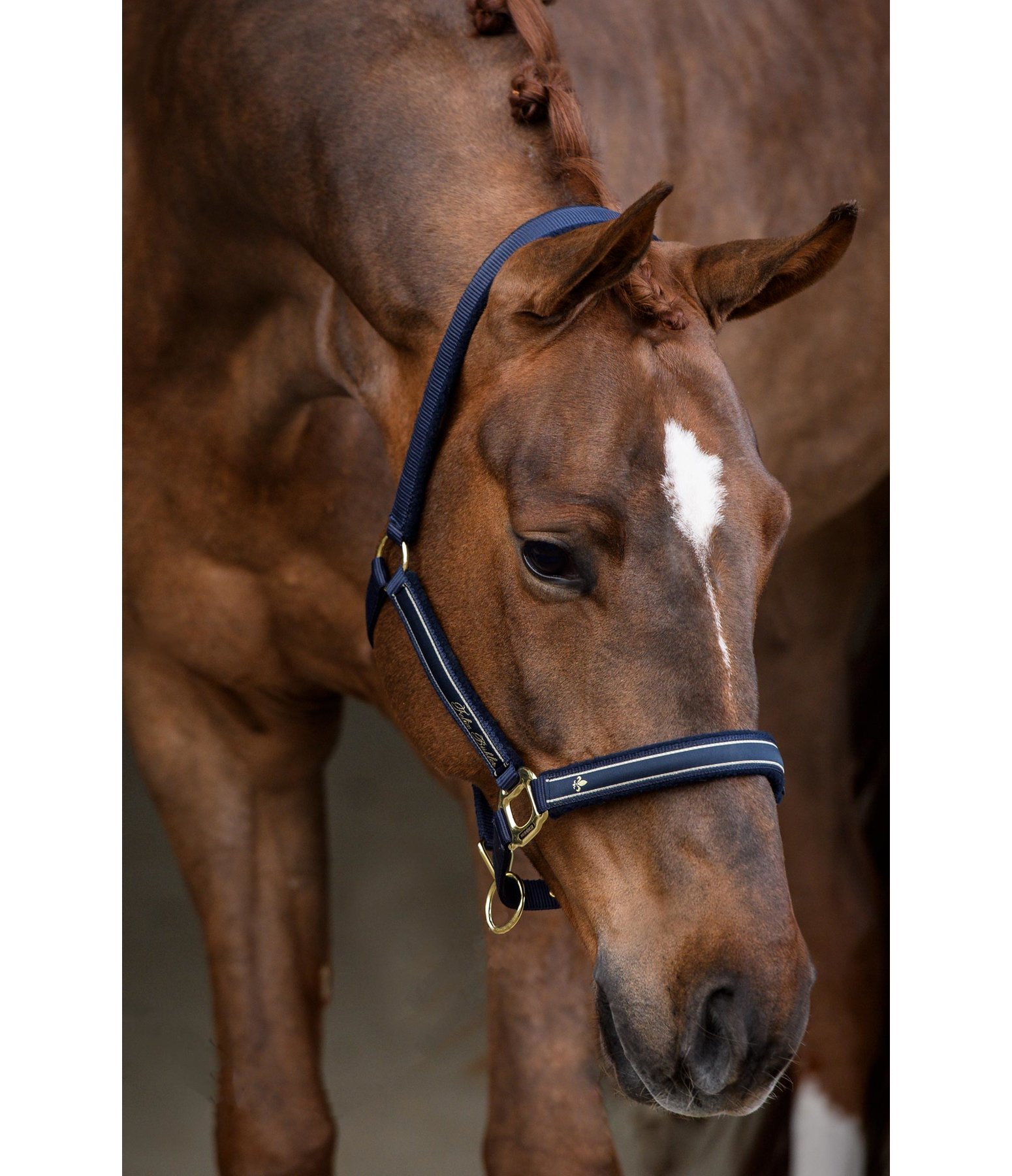 Headcollar Glamorous